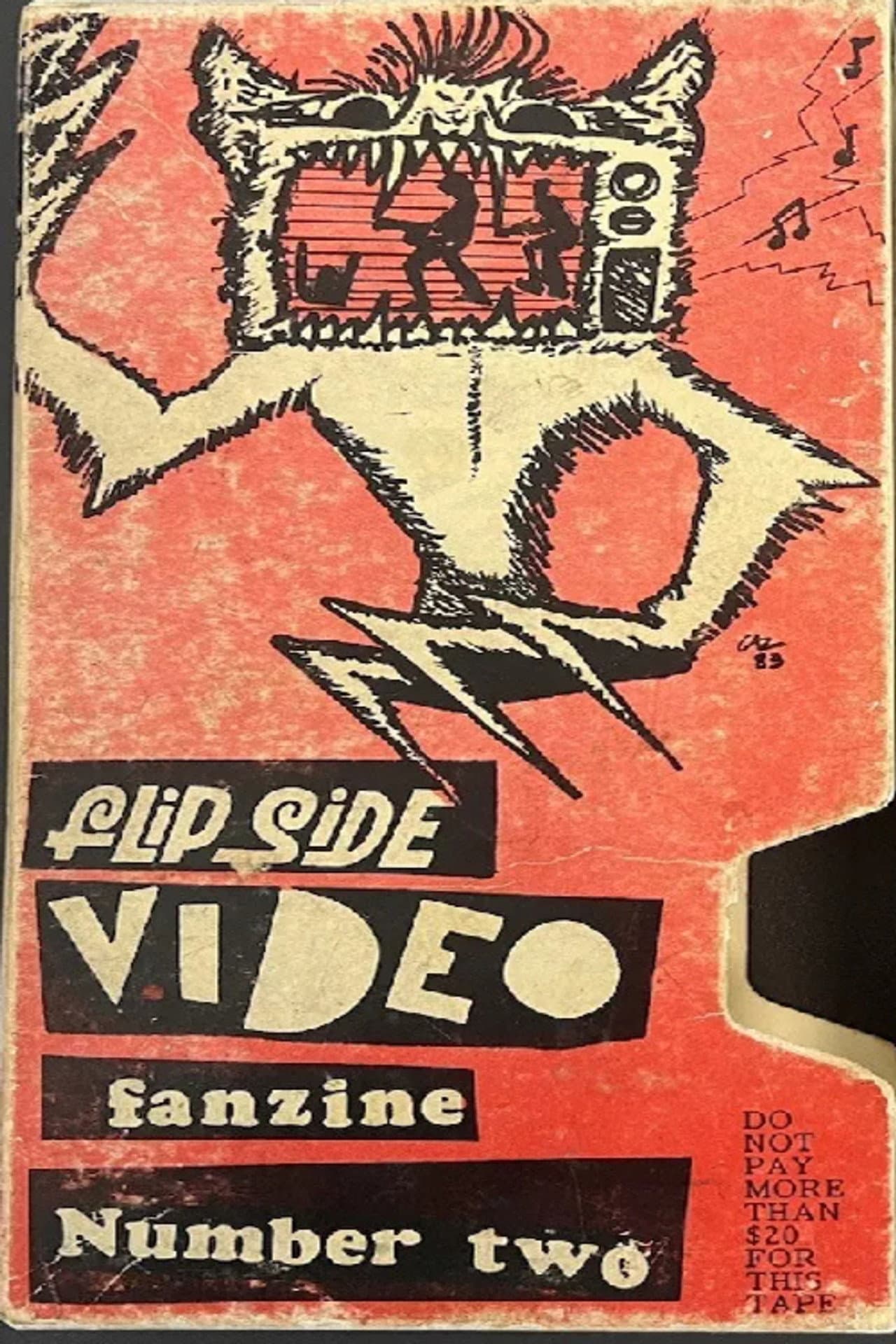 Flipside Video Fanzine Number Two preview 1