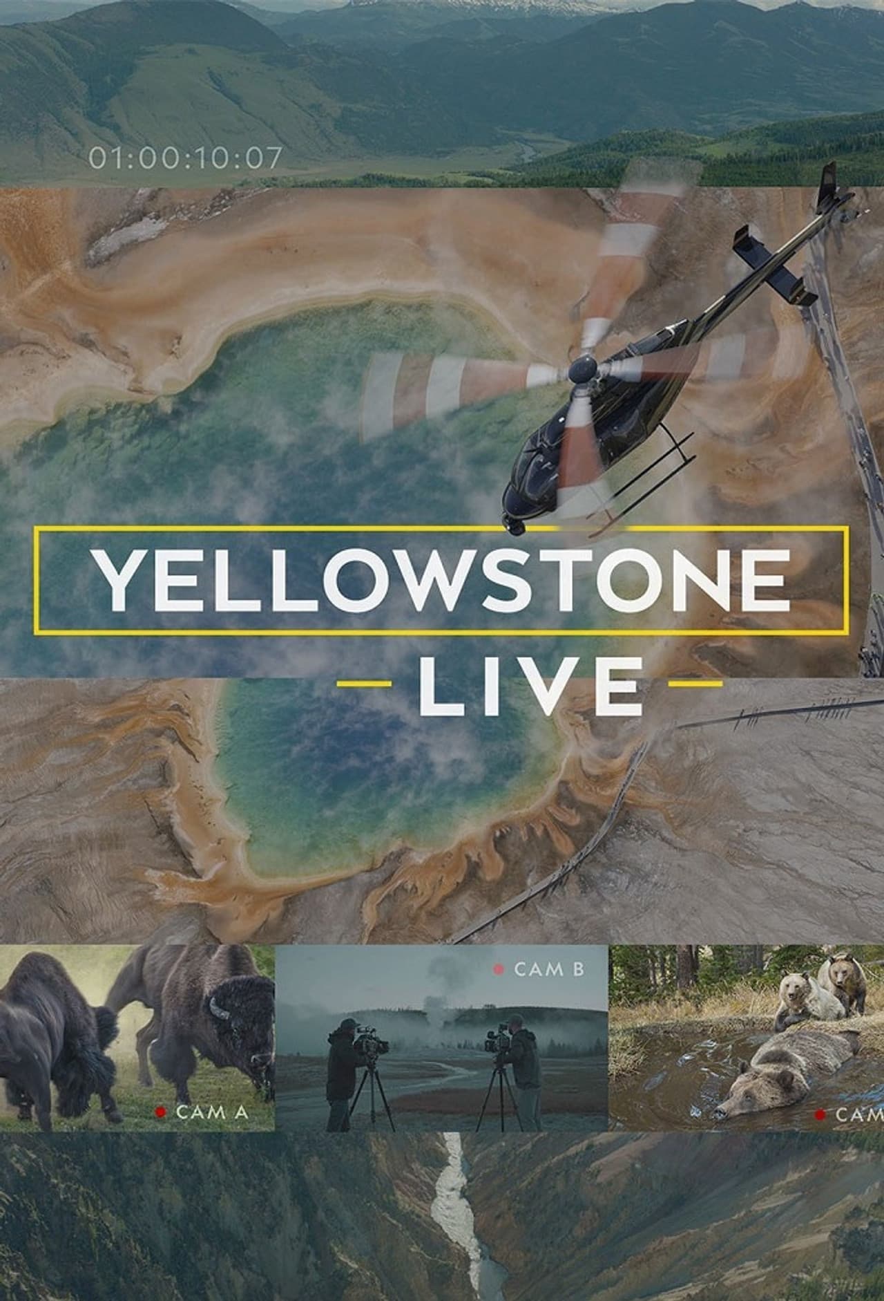 Yellowstone Live preview 2