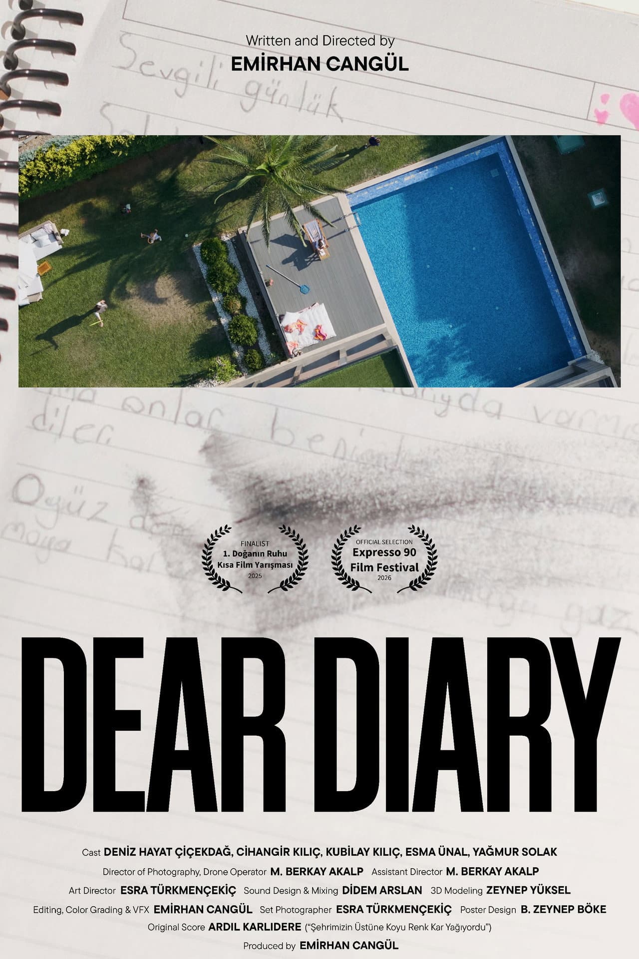 Dear Diary preview 2