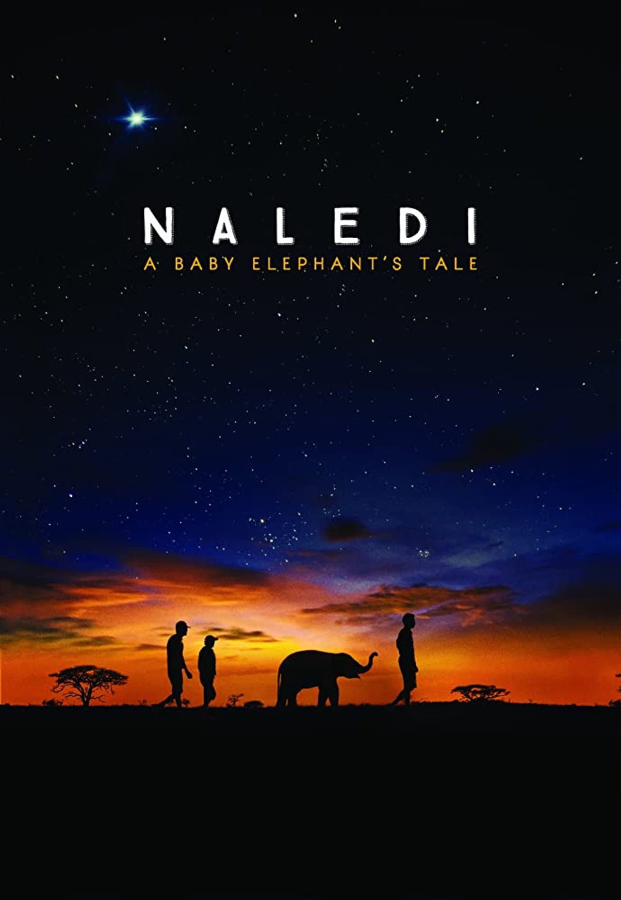 Naledi: A Baby Elephant's Tale preview 2