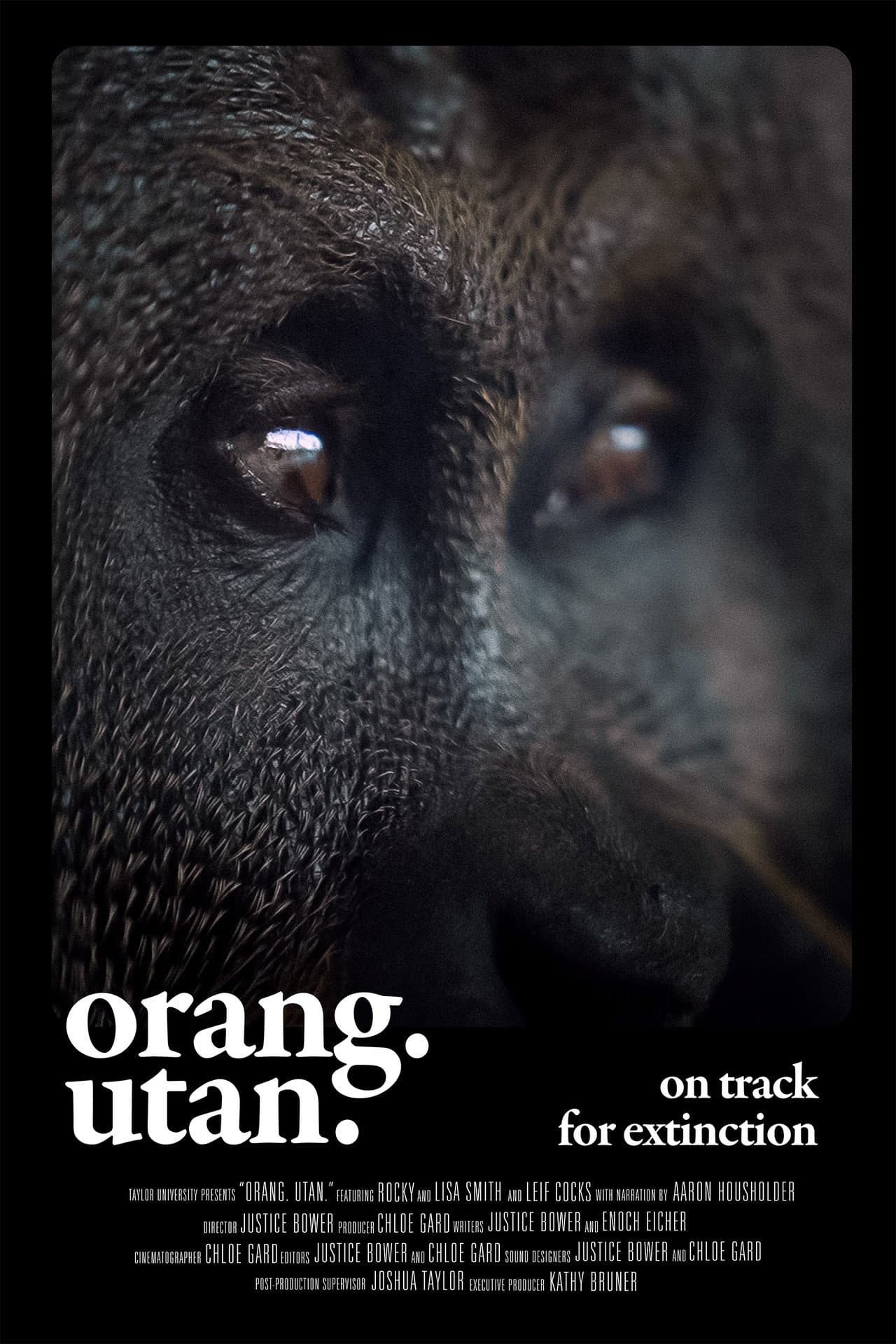 Orang. Utan. preview 2