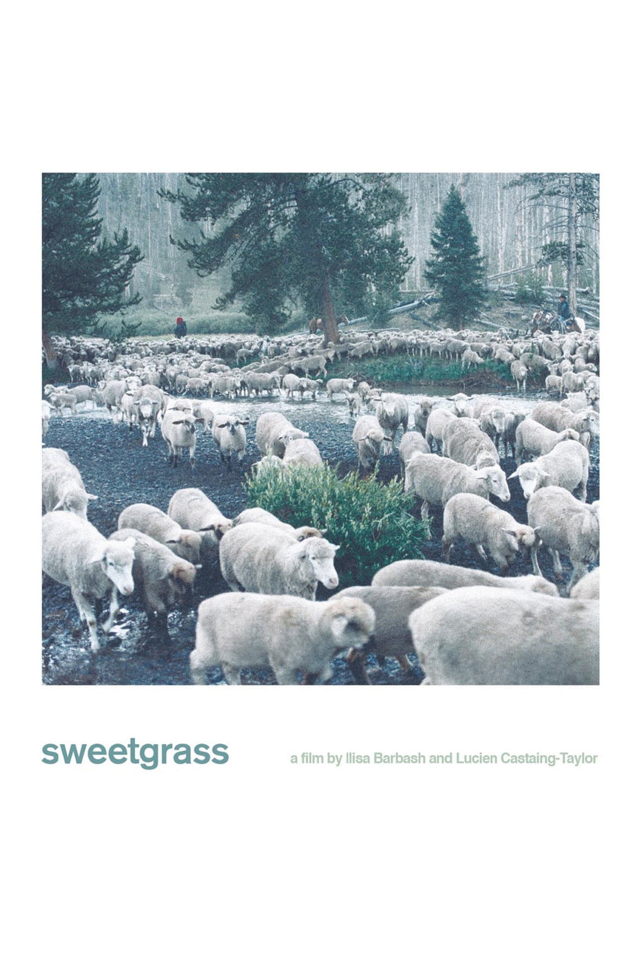 Sweetgrass preview 2