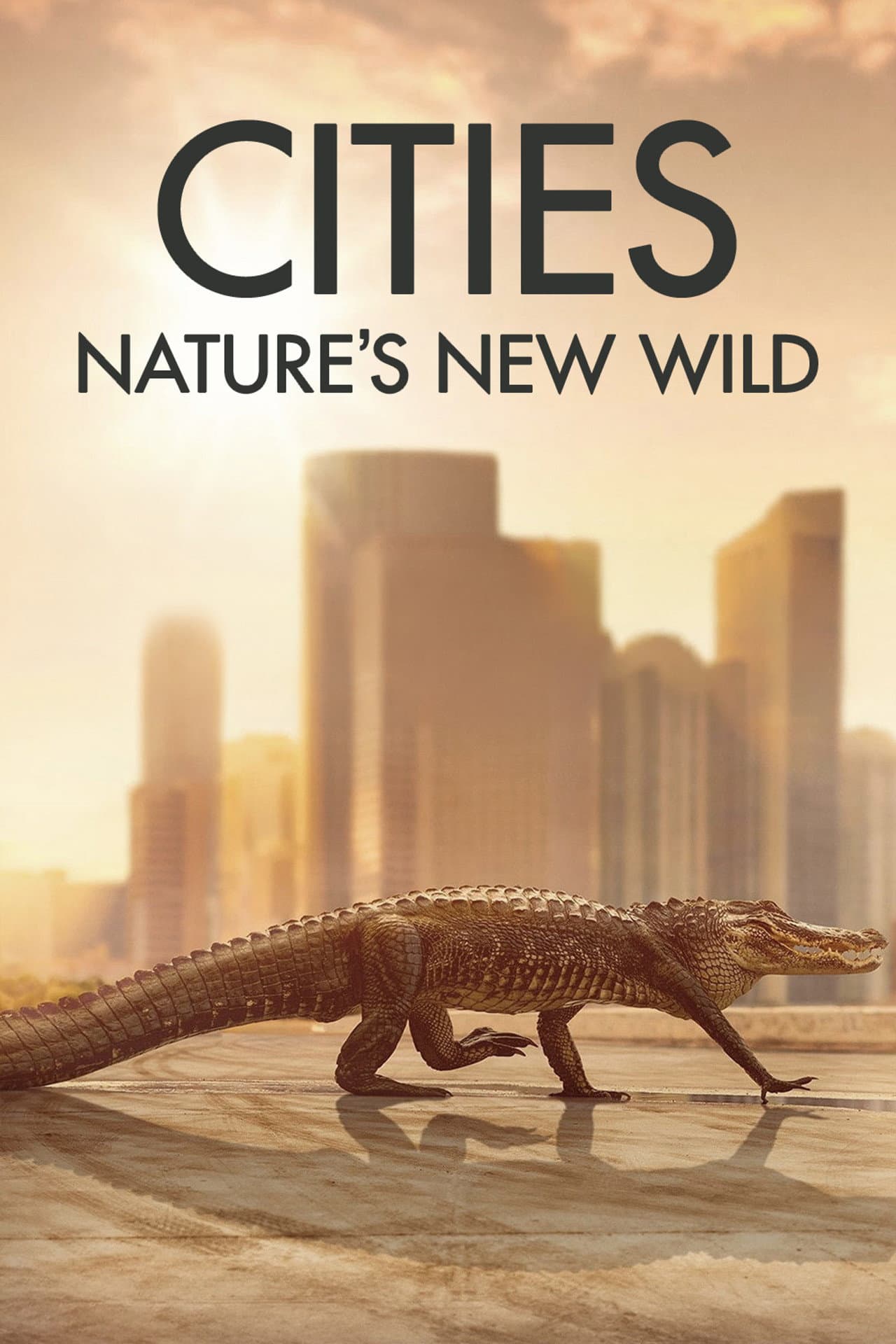 Cities: Nature's New Wild preview 2