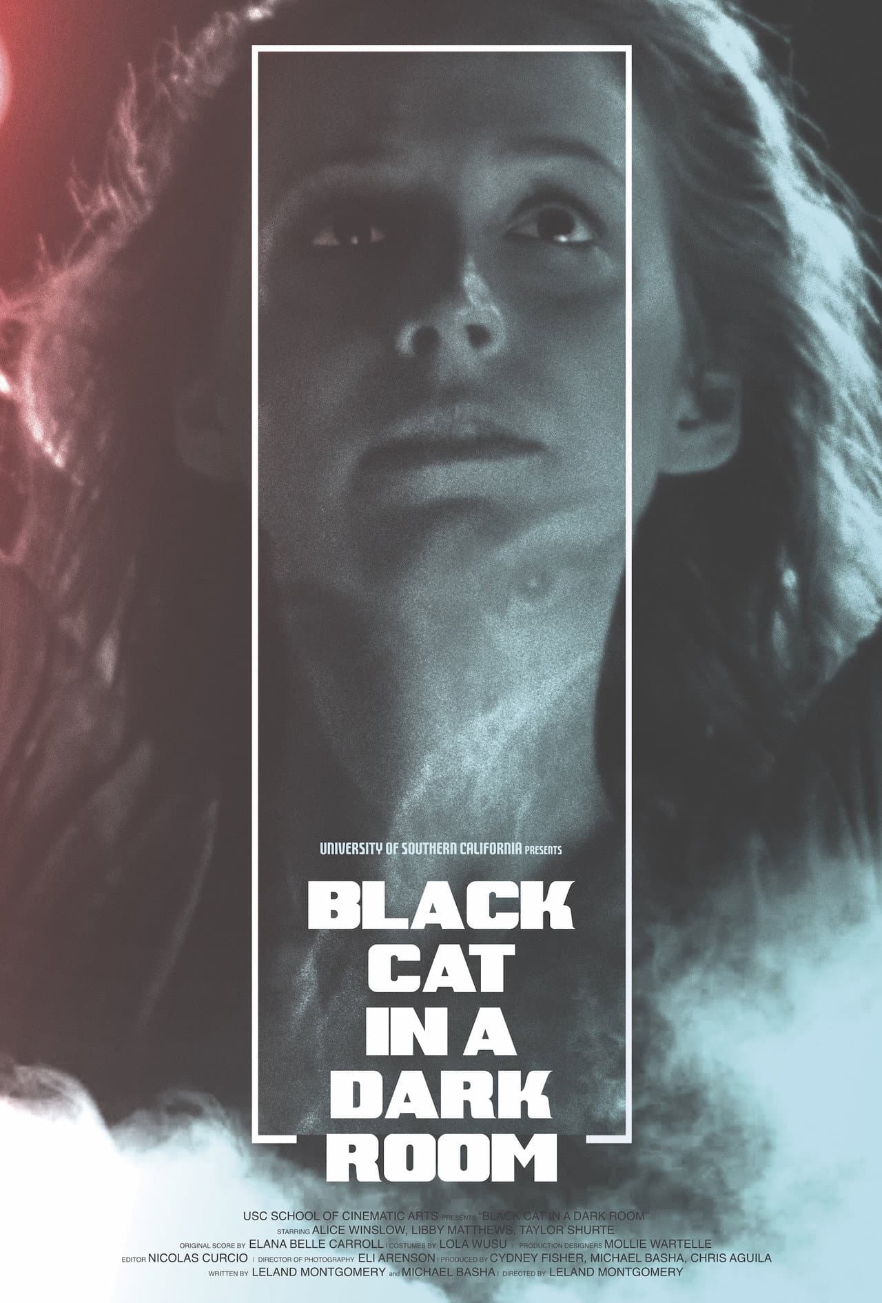 Black Cat in a Dark Room preview 2