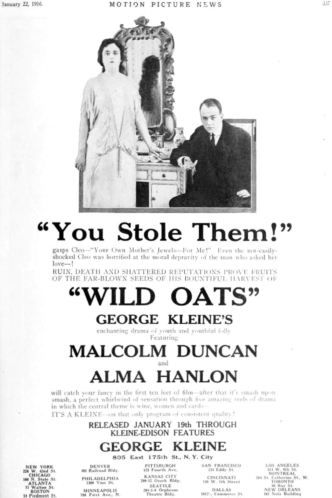 Wild Oats preview 1