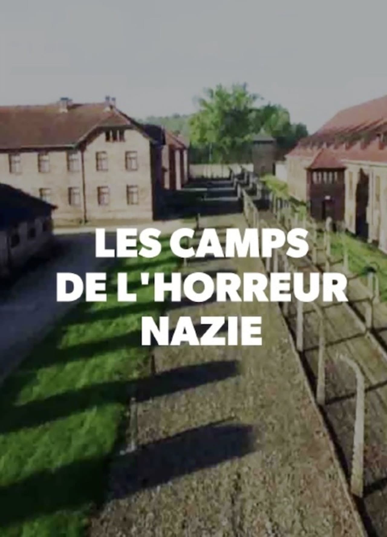 Les Camps de l'Horreur Nazie preview 1