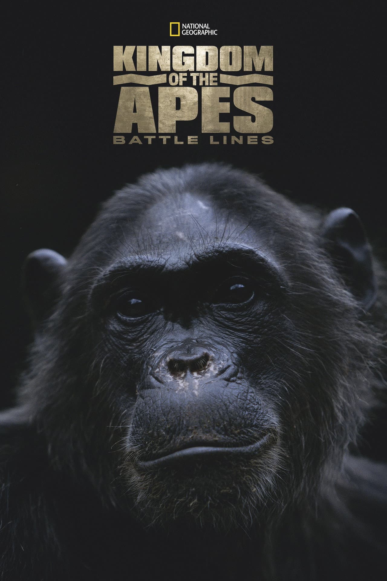 Kingdom of the Apes: Battle Lines preview 2