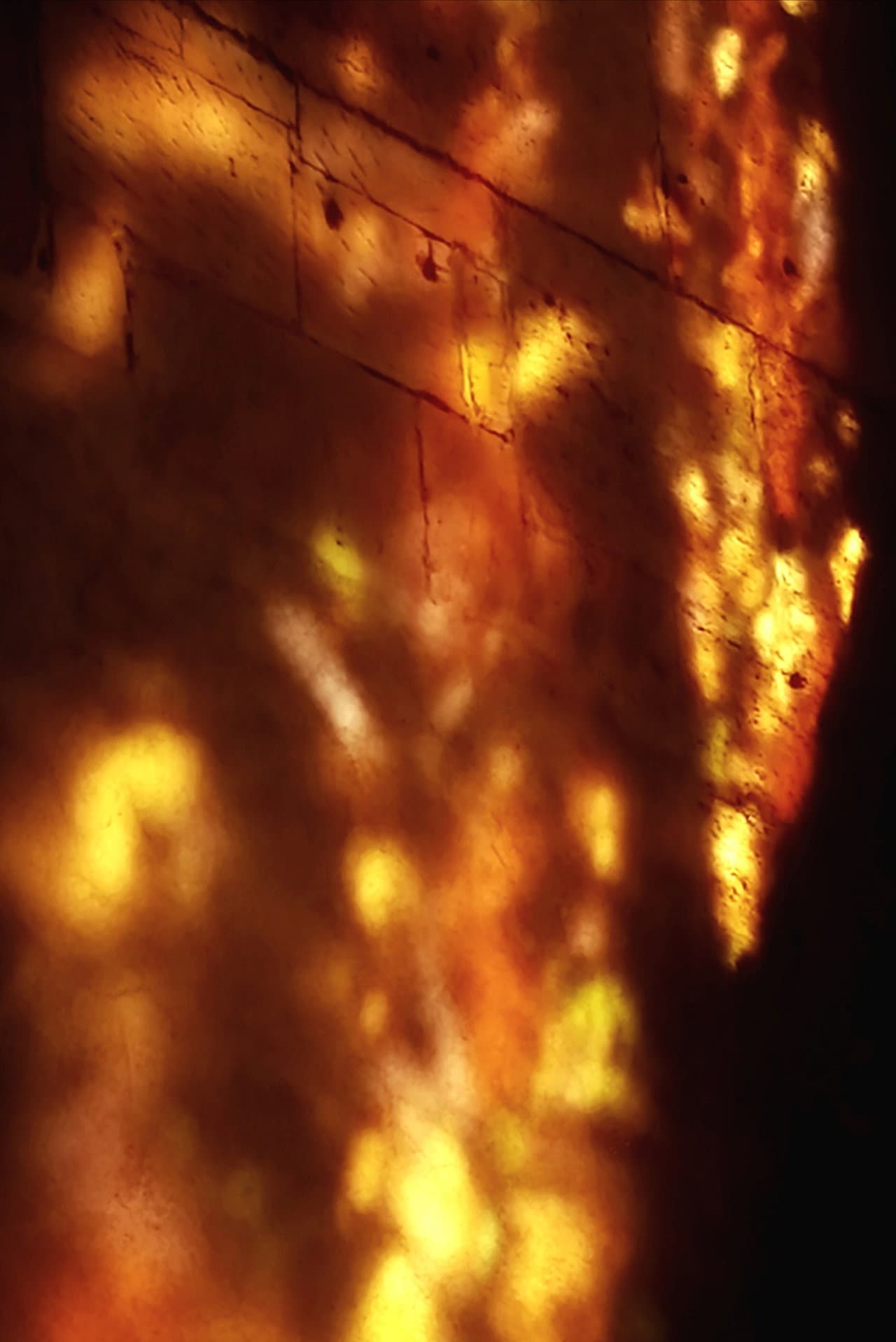 Golden Chains preview 2