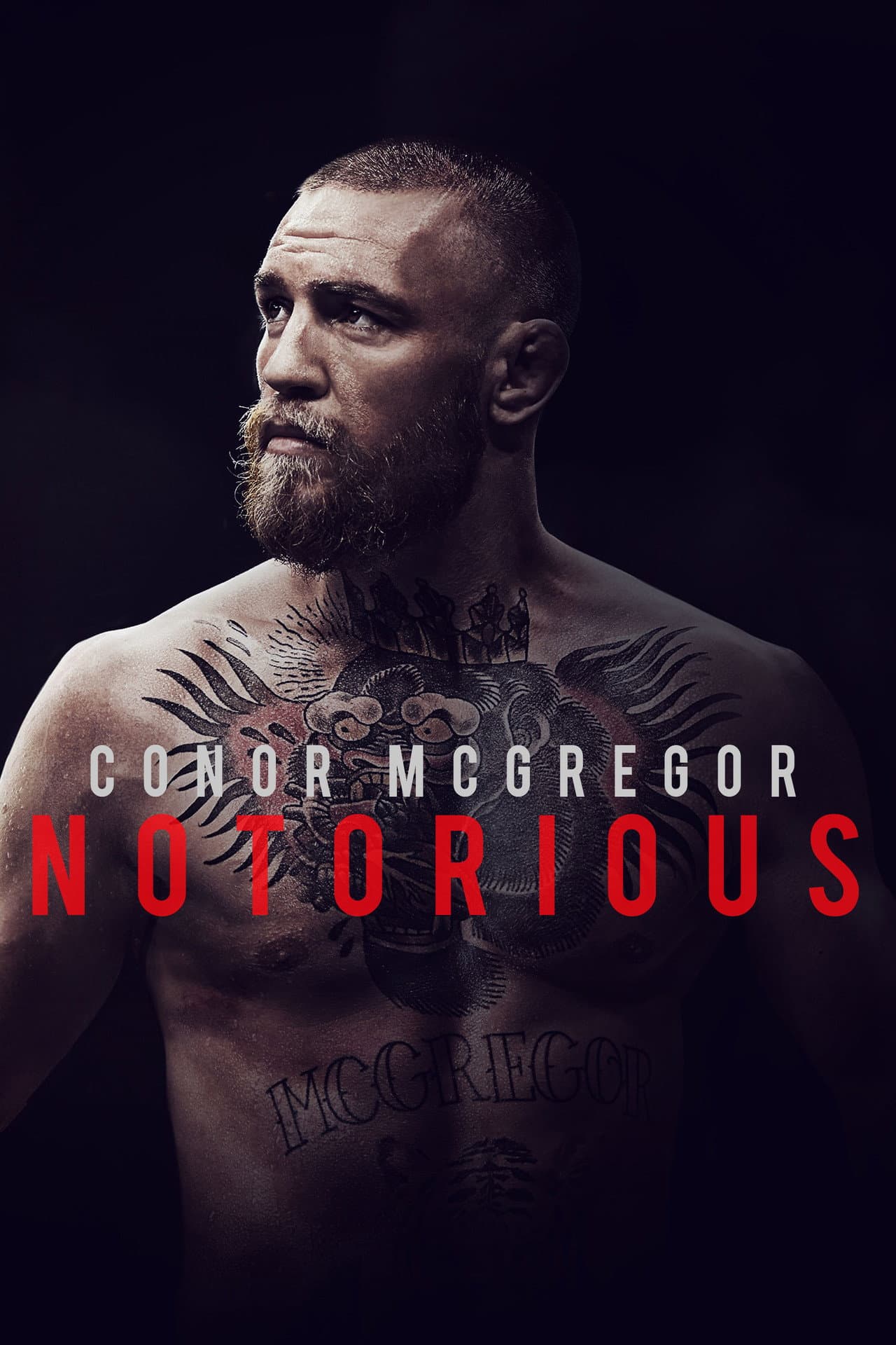 Conor McGregor: Notorious preview 2