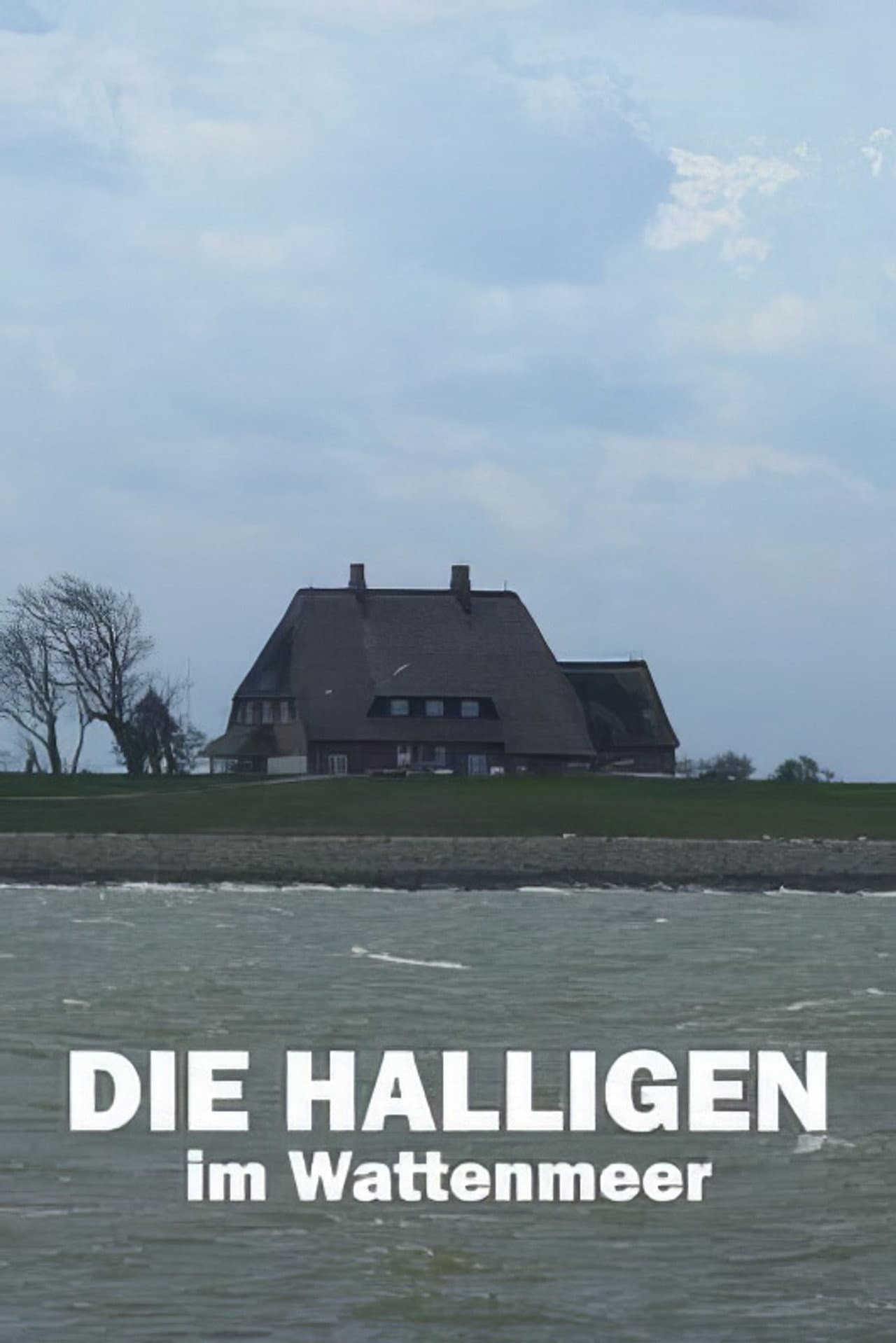 Die Halligen im Wattenmeer preview 2