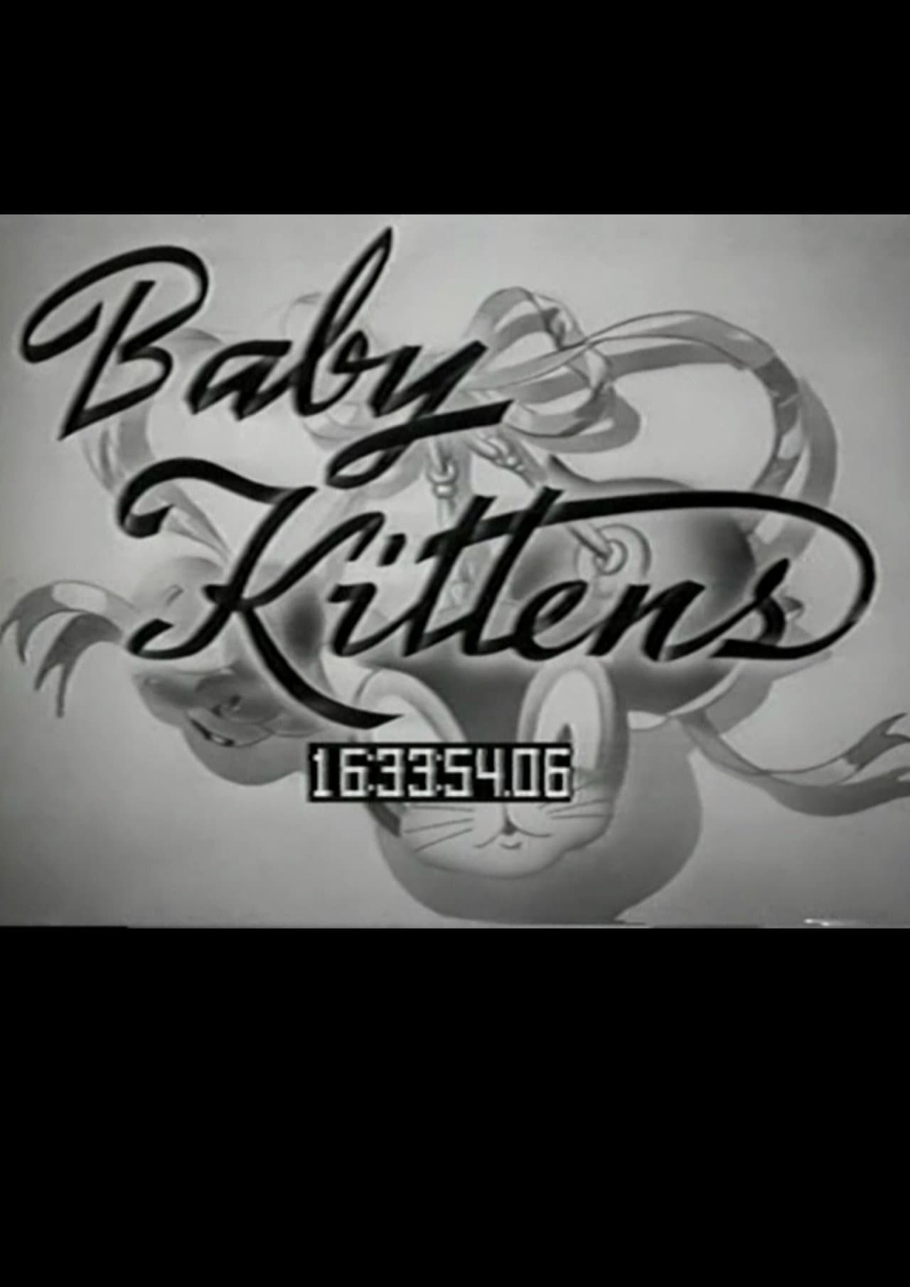 Baby Kittens preview 1
