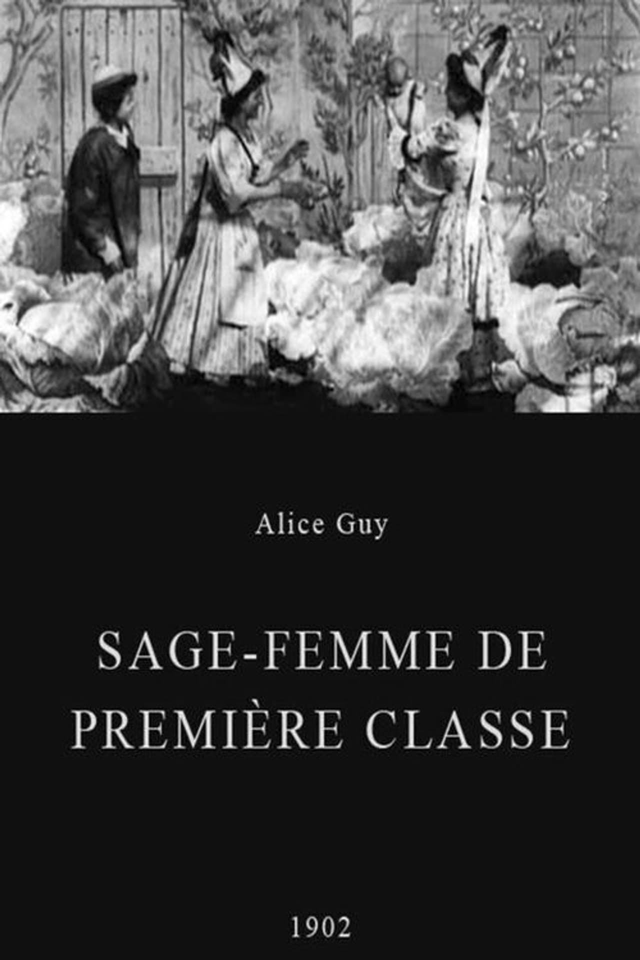 Midwife to the Upper Class preview 1