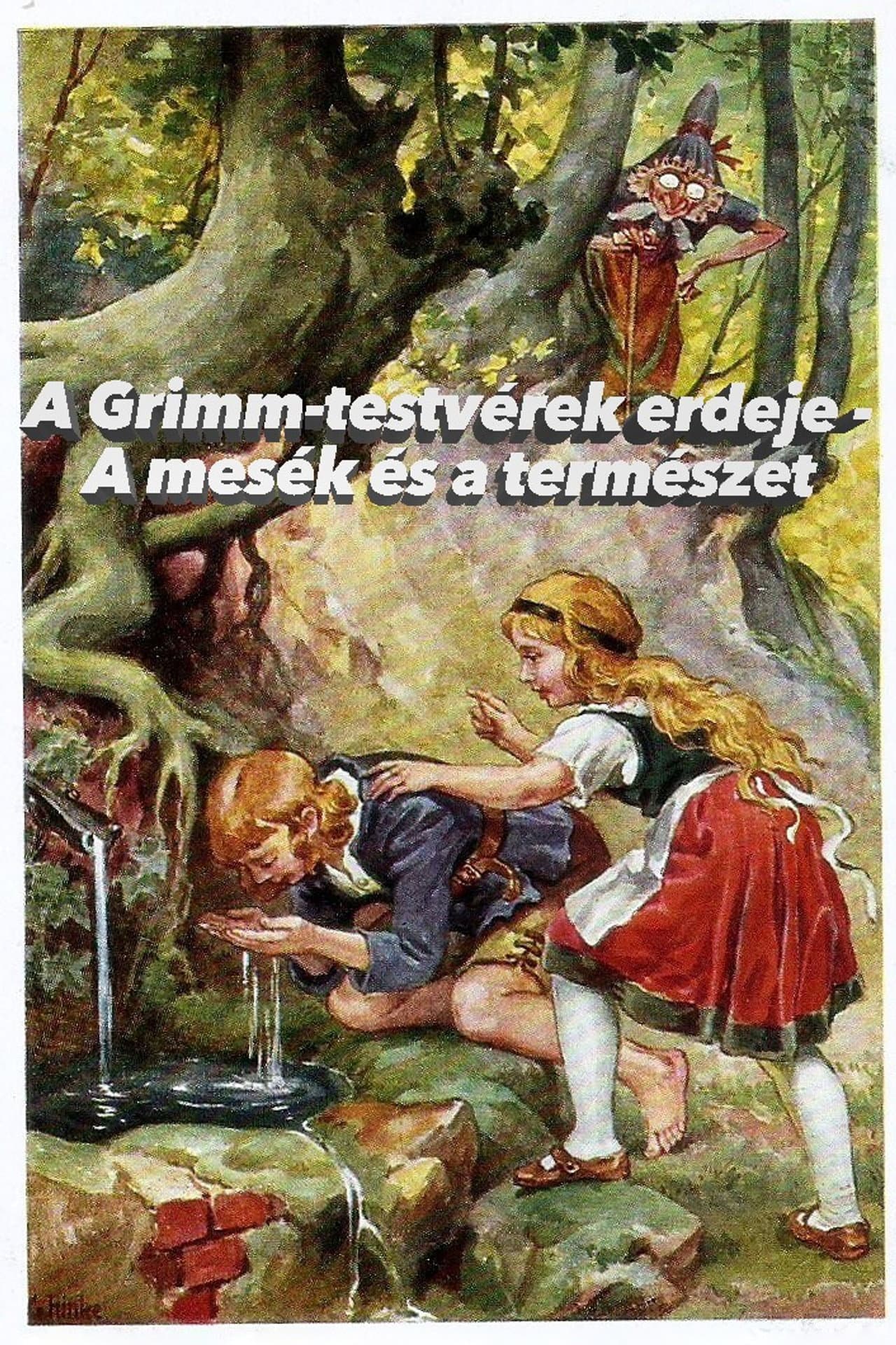 Im Märchenwald der Gebrüder Grimm preview 1