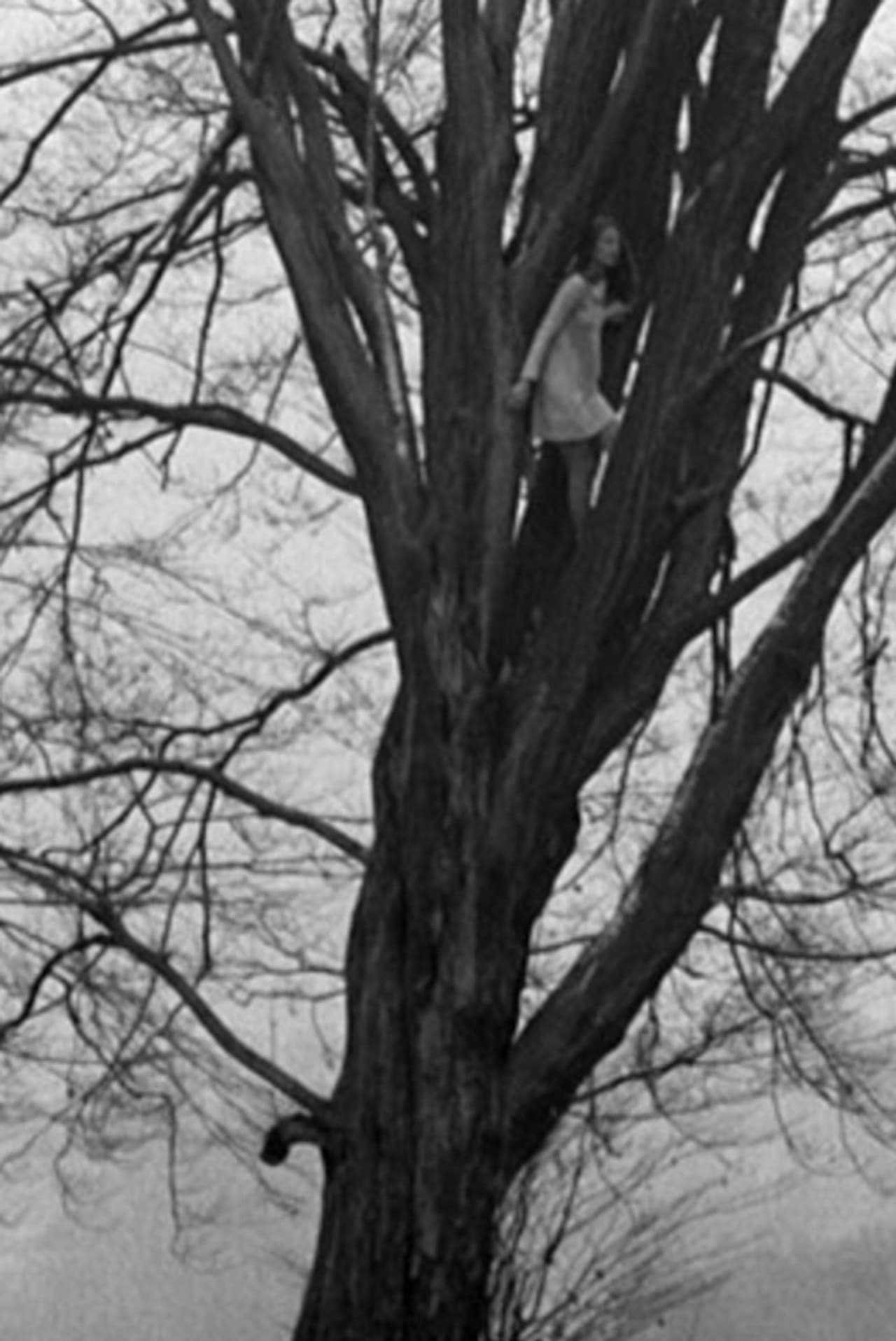 Foundling-Bird preview 1