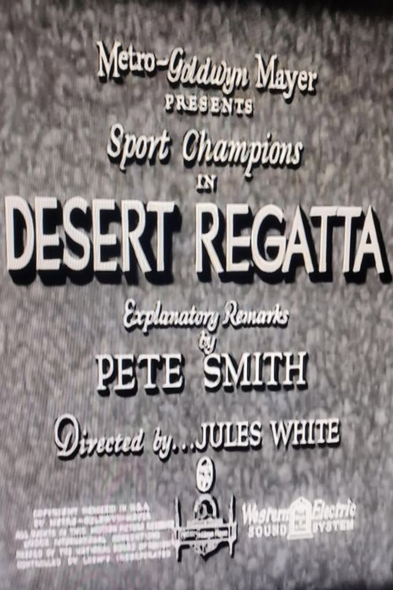 Desert Regatta preview 1