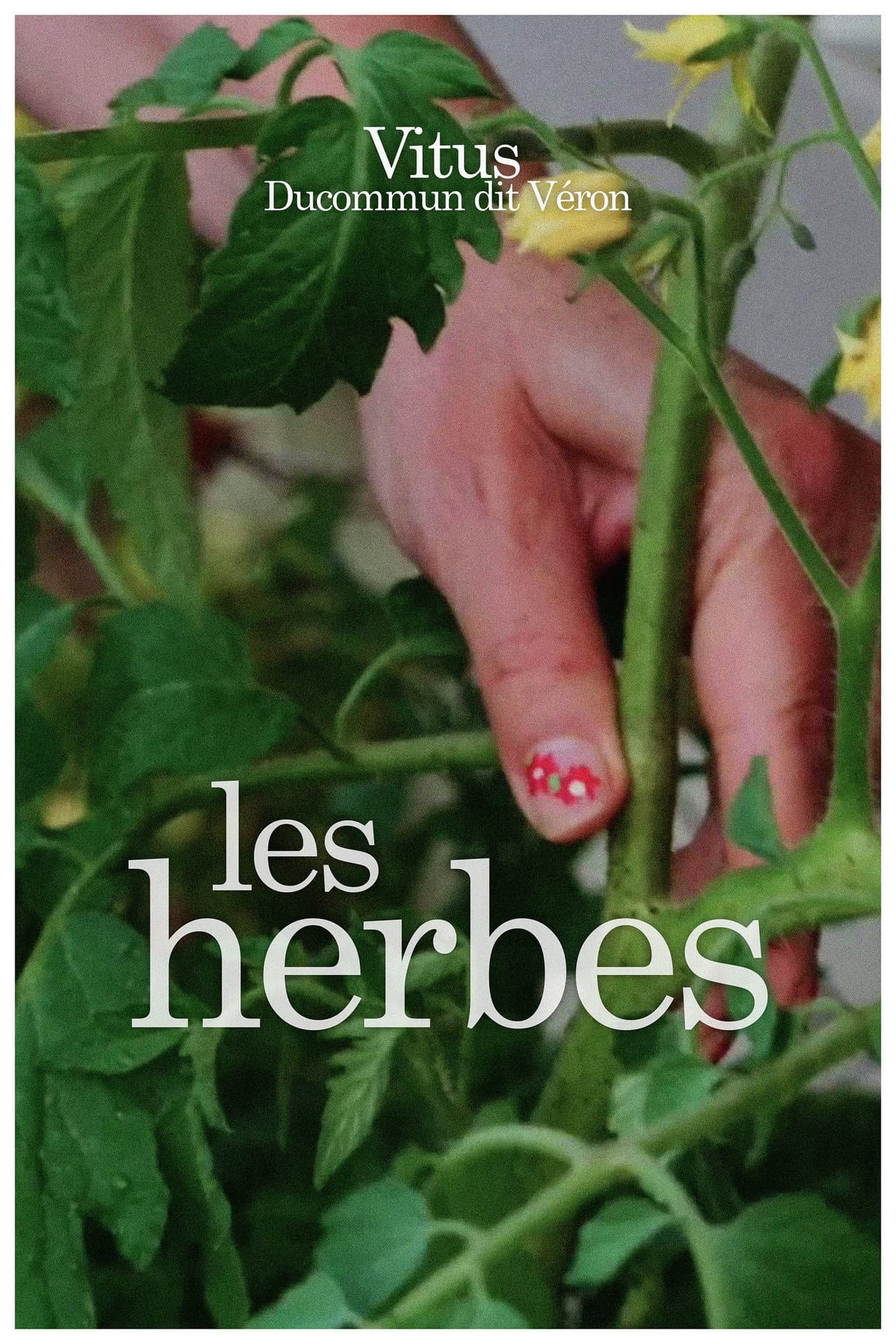 Les herbes preview 2