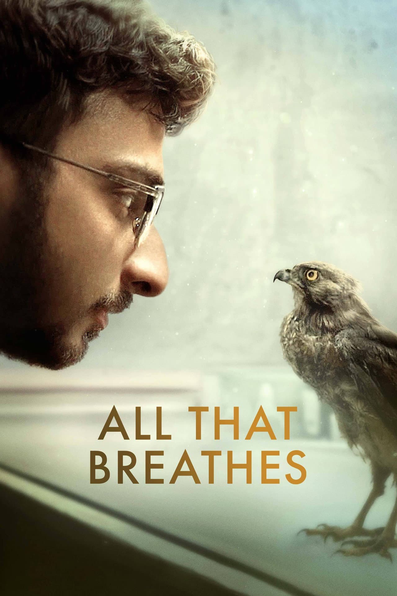 All That Breathes preview 2