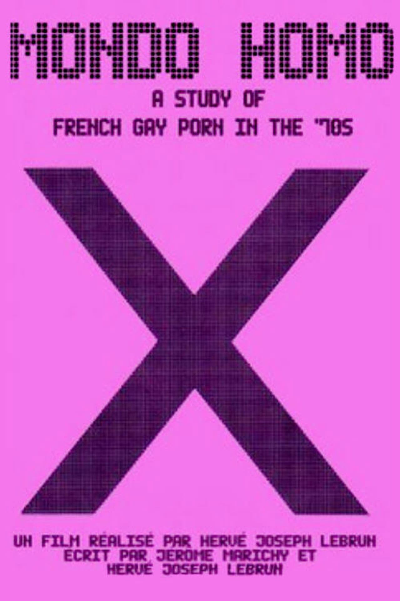 Mondo Homo: Inquiry Into 70's Gay French Porn preview 2