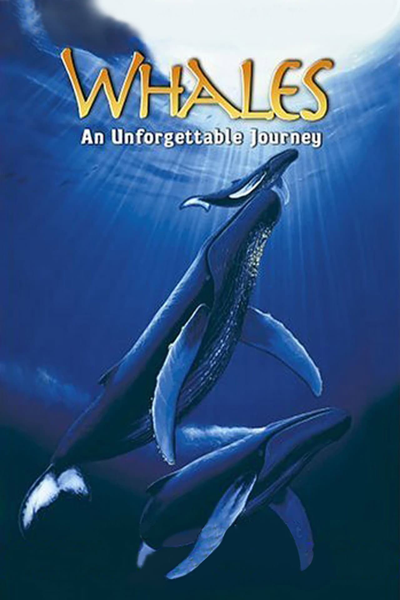 Whales: An Unforgettable Journey preview 2
