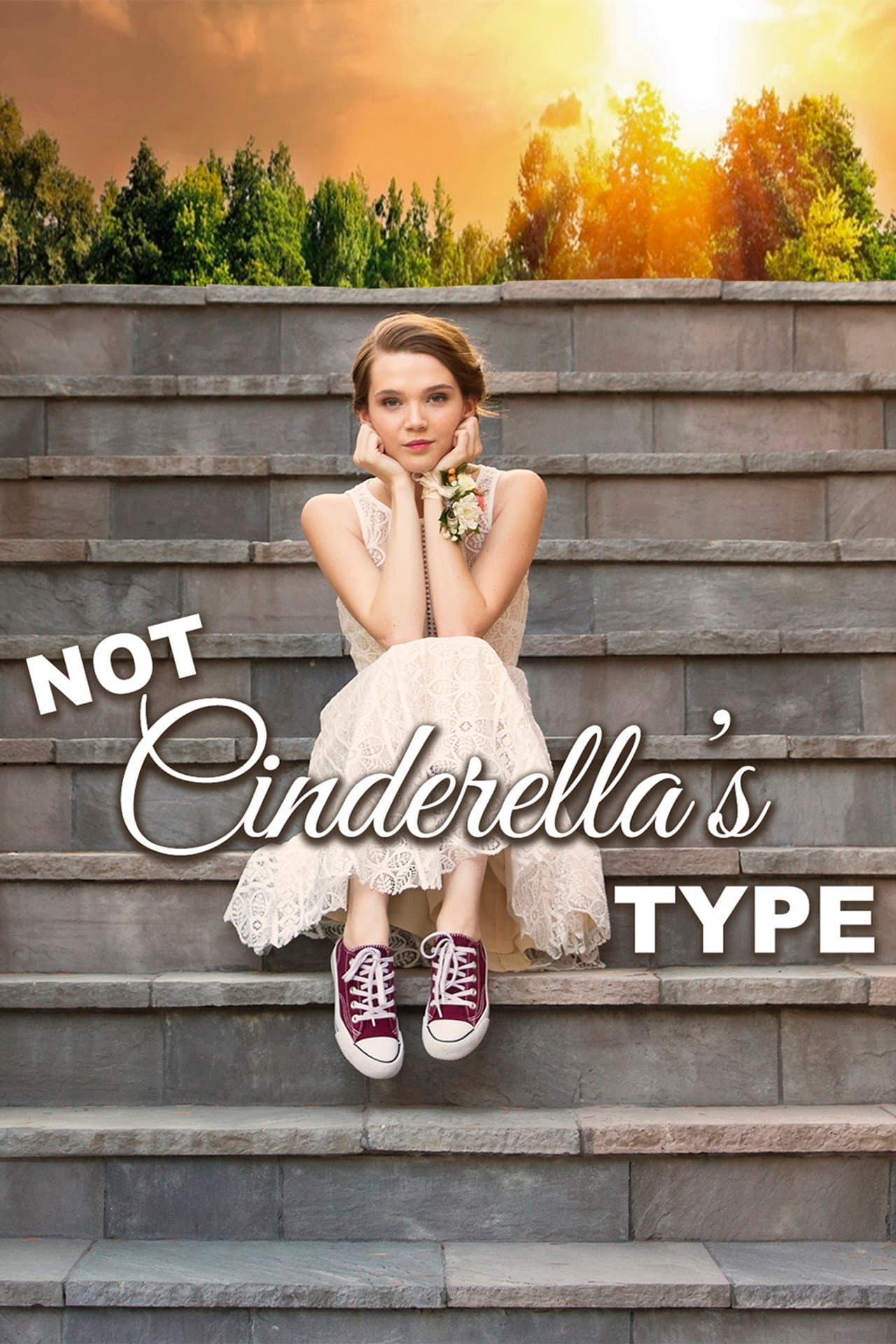 Not Cinderella's Type preview 2