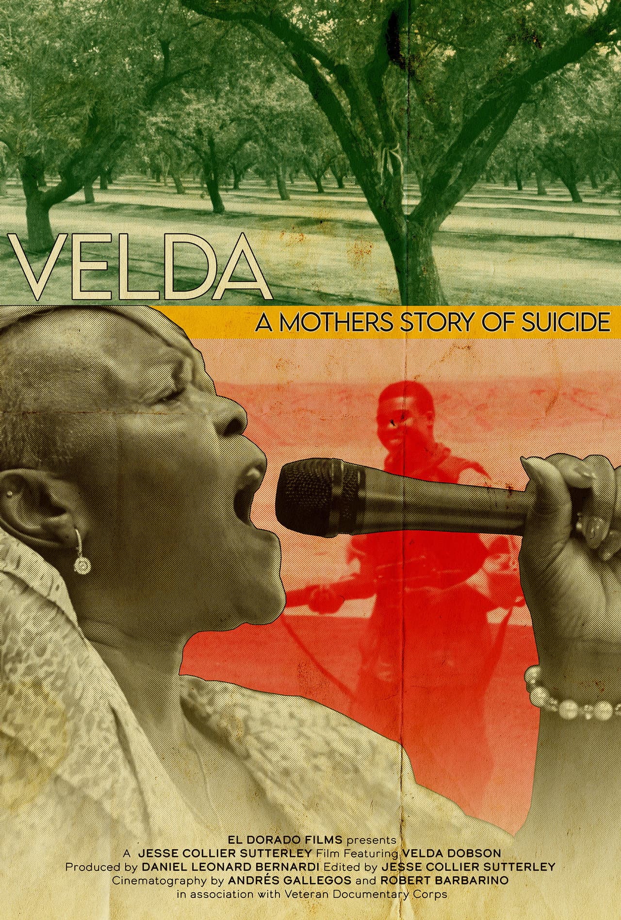 Velda: A Mom's Story of Suicide preview 1