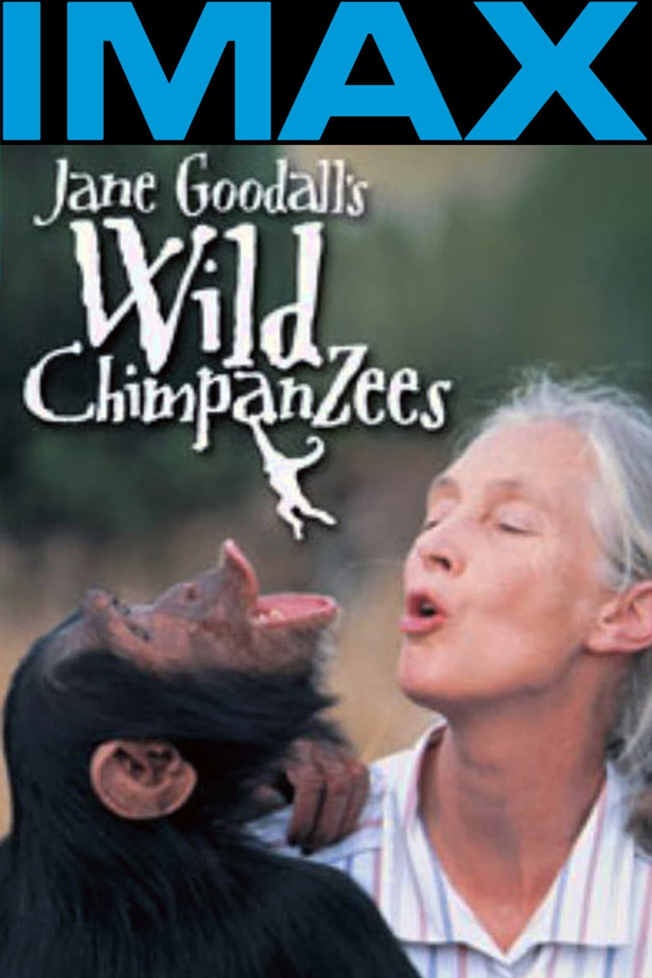 Jane Goodall's Wild Chimpanzees preview 1
