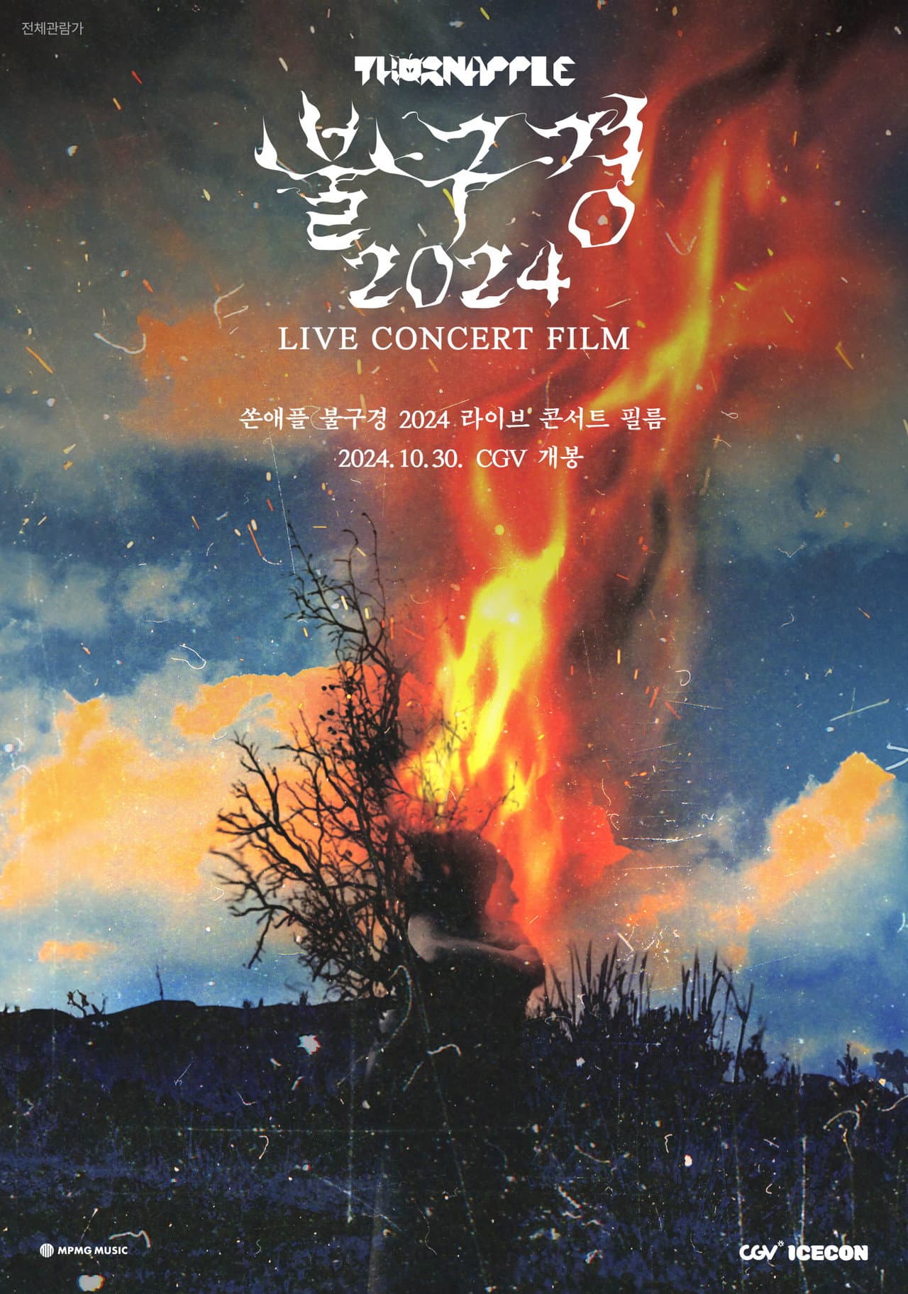 THORNAPPLE FIRE WATCHING 2024 LIVE CONCERT FILM preview 1