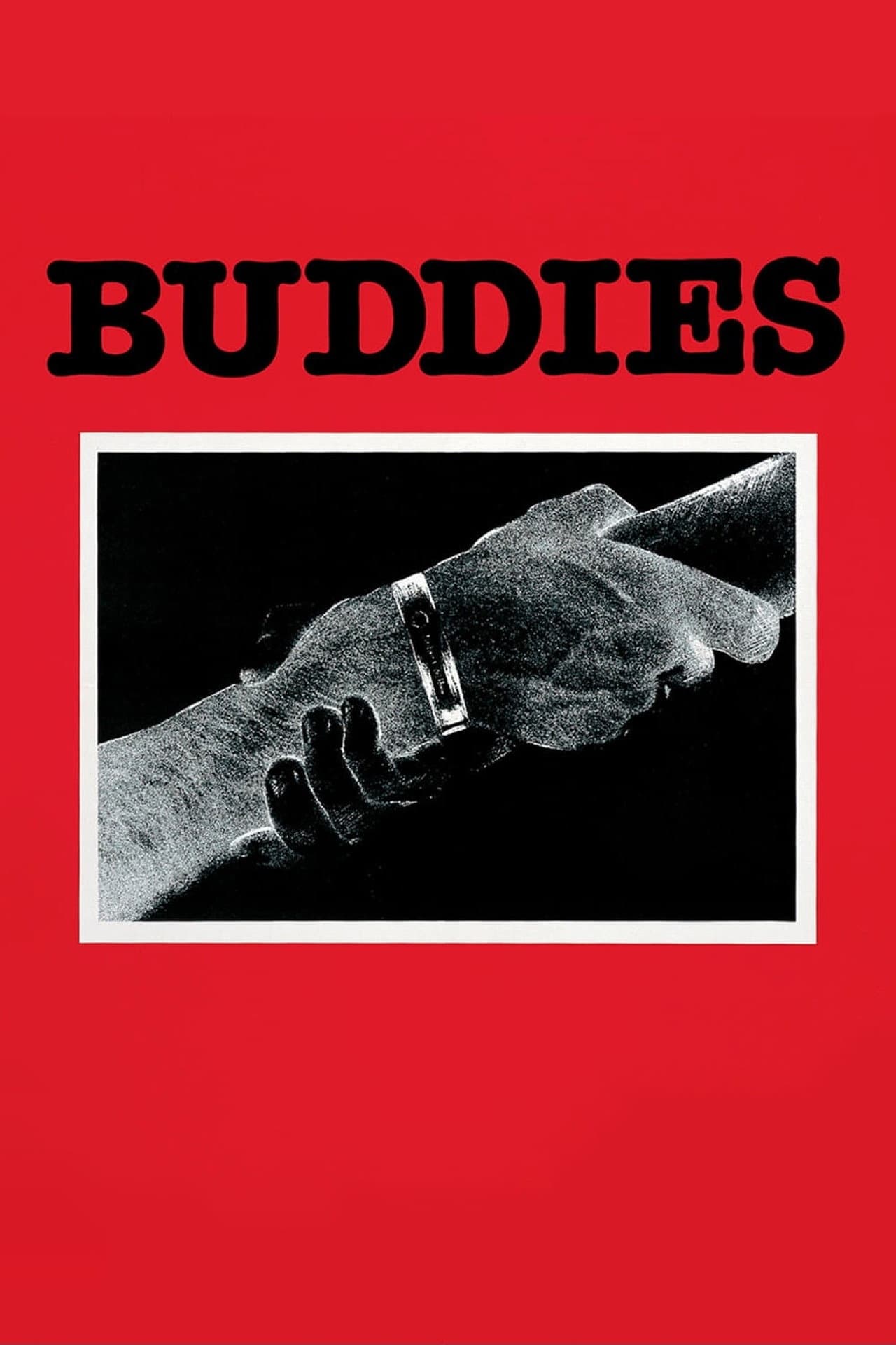 Buddies preview 2