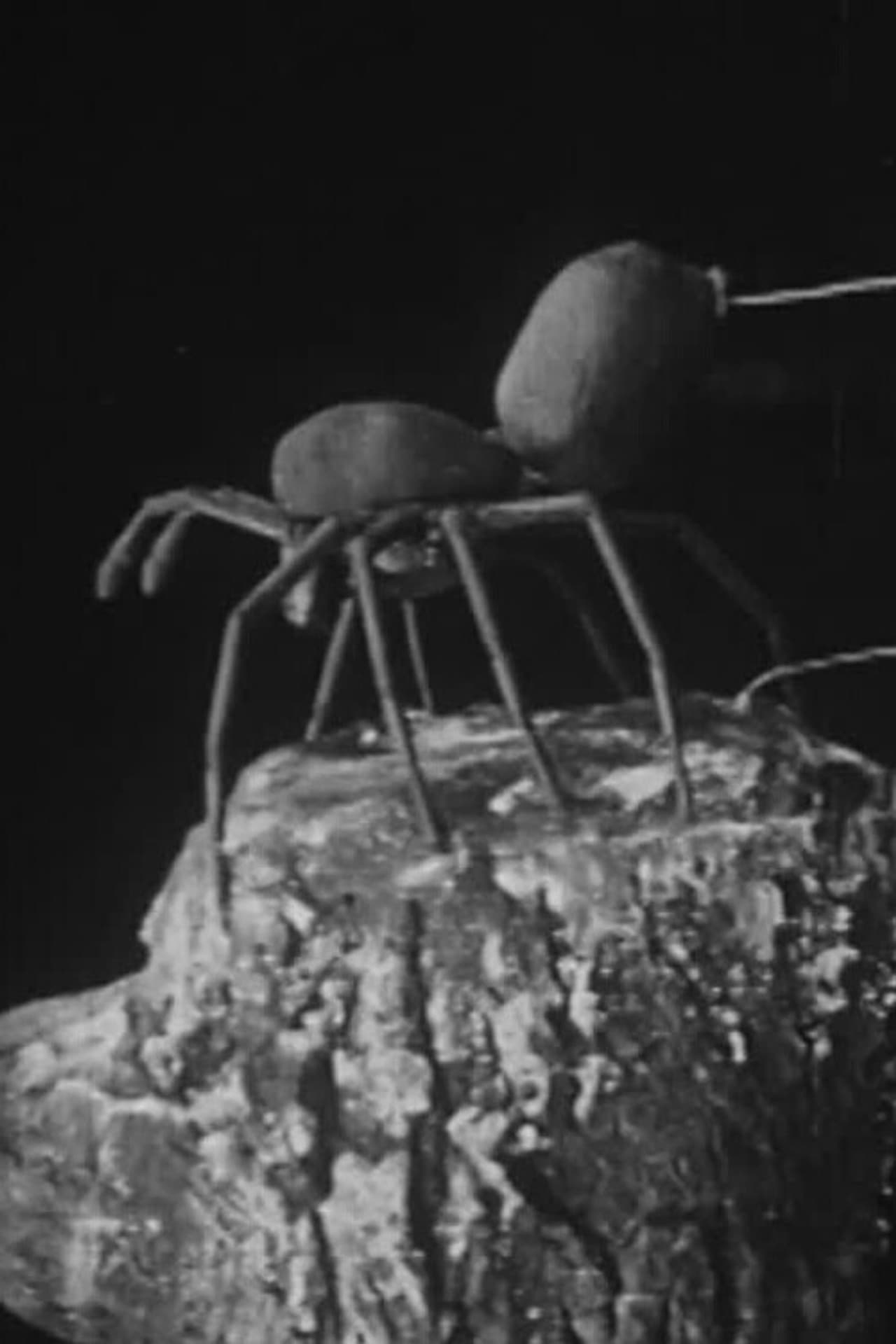To Demonstrate How Spiders Fly preview 2