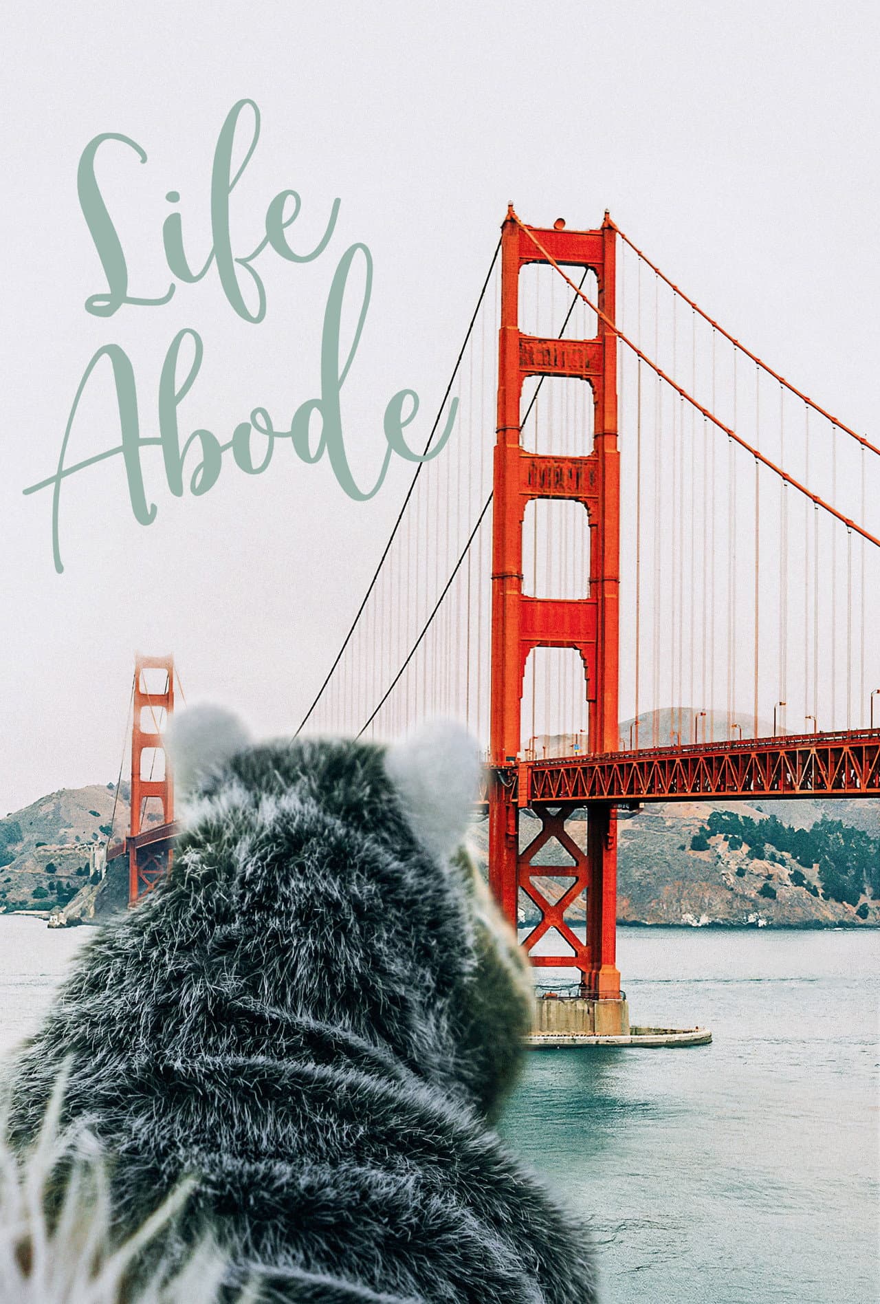 Life Abode preview 2