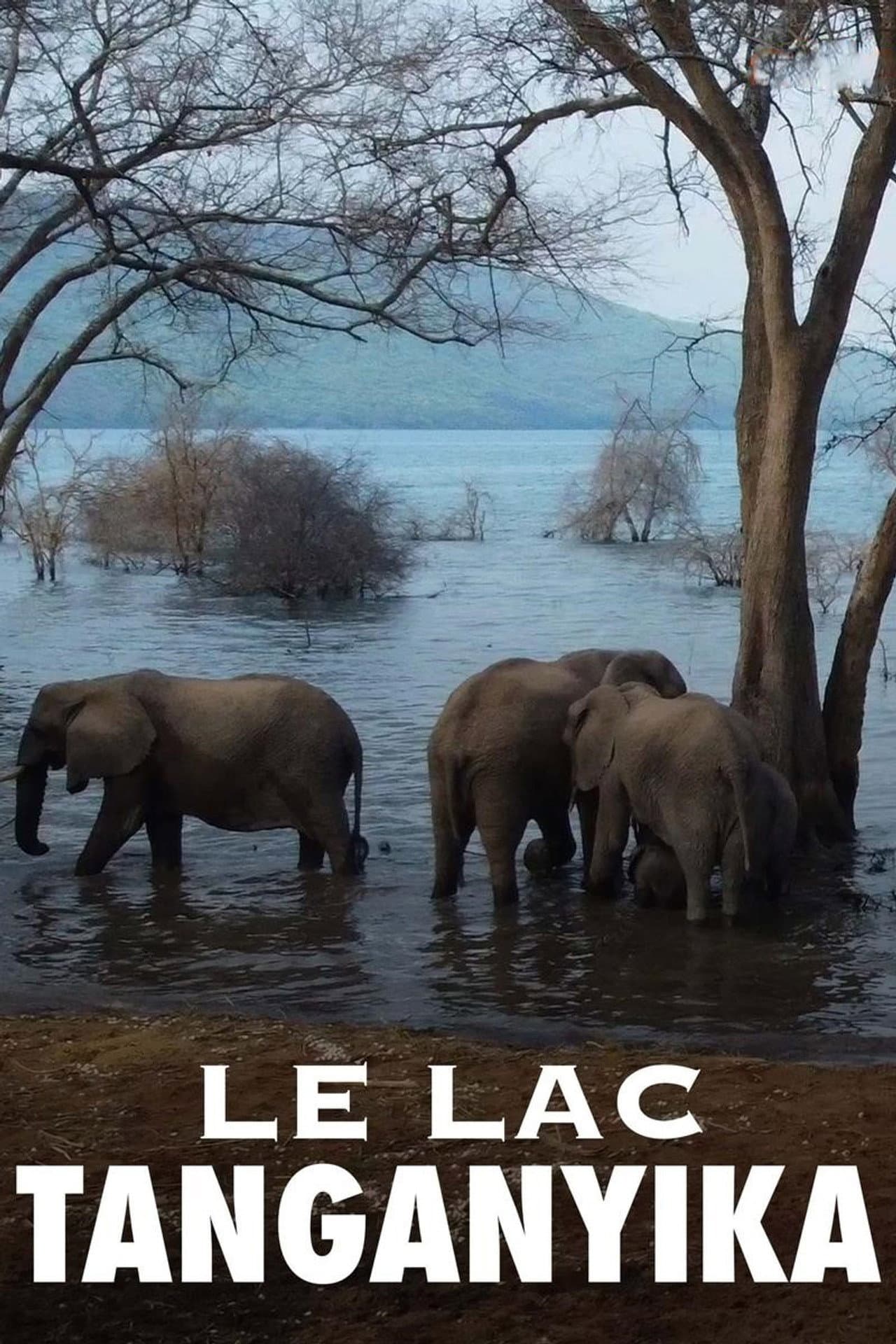 Le lac Tanganyika, la source de vie de l'Afrique preview 2