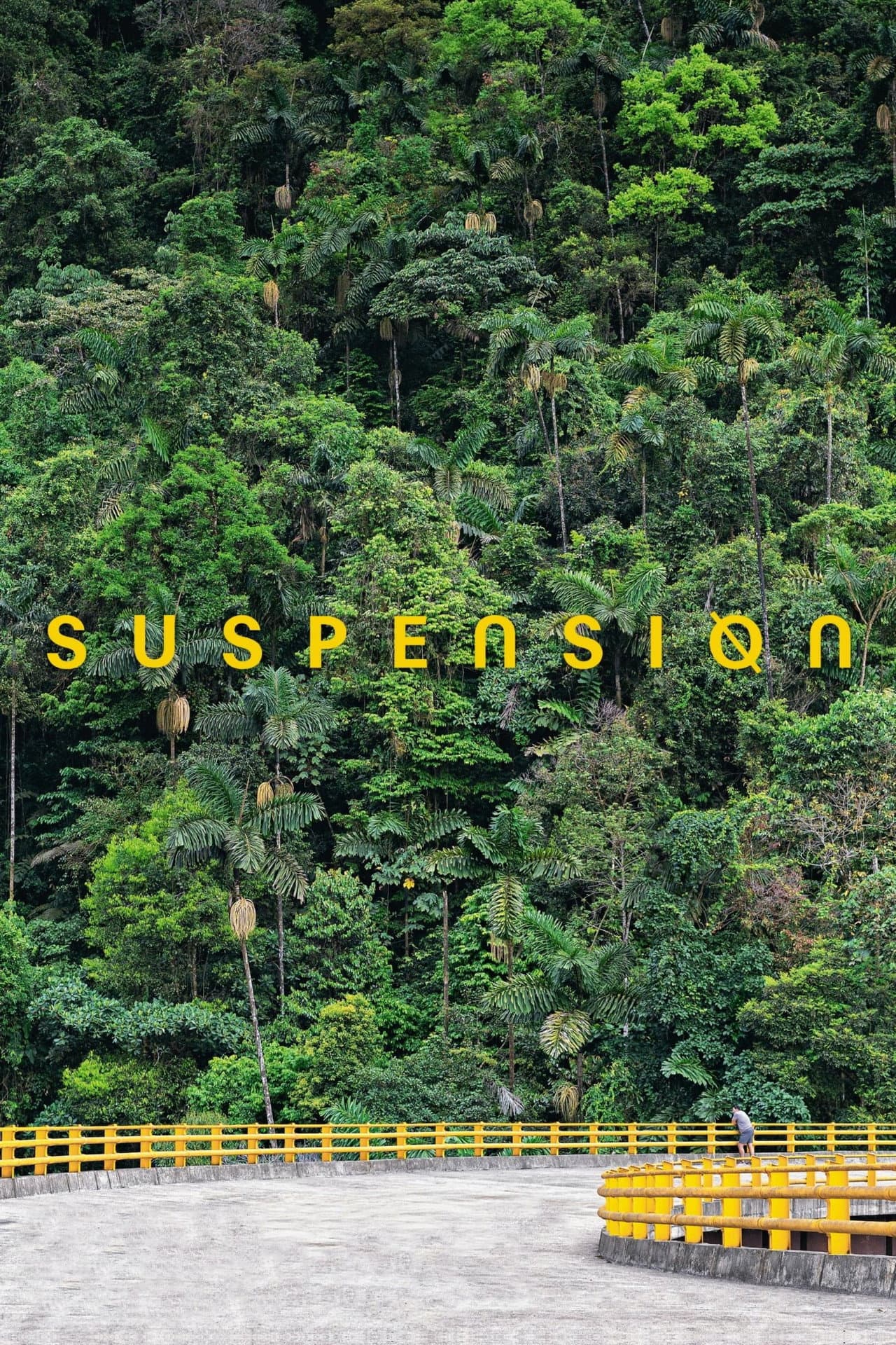 Suspension preview 2