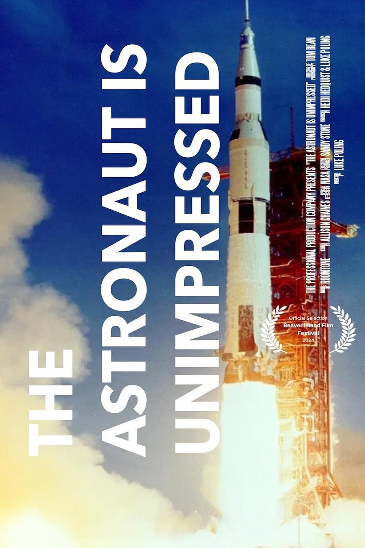 The Astronaut is Unimpressed preview 1