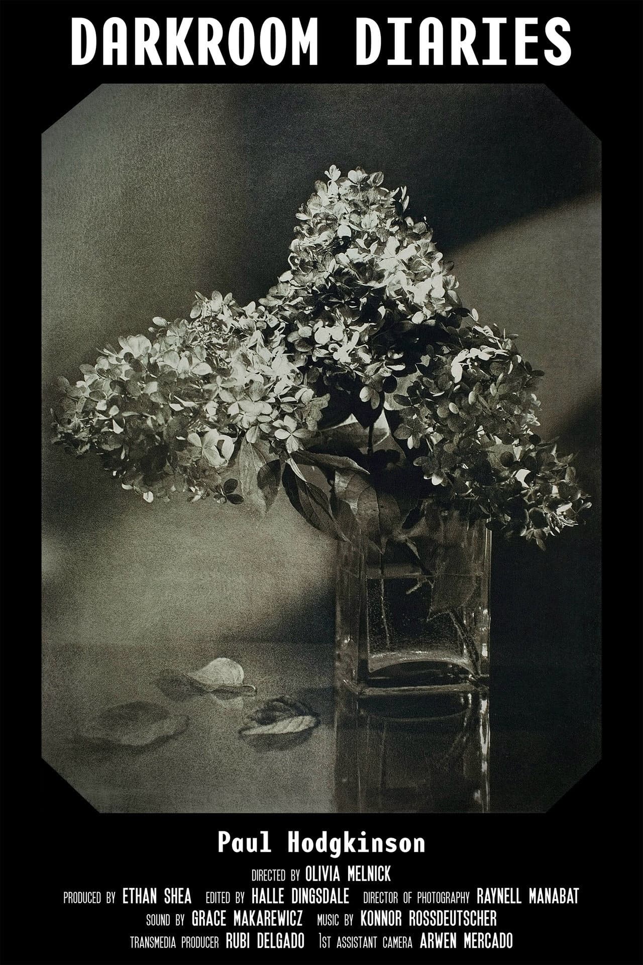 Darkroom Diaries preview 2