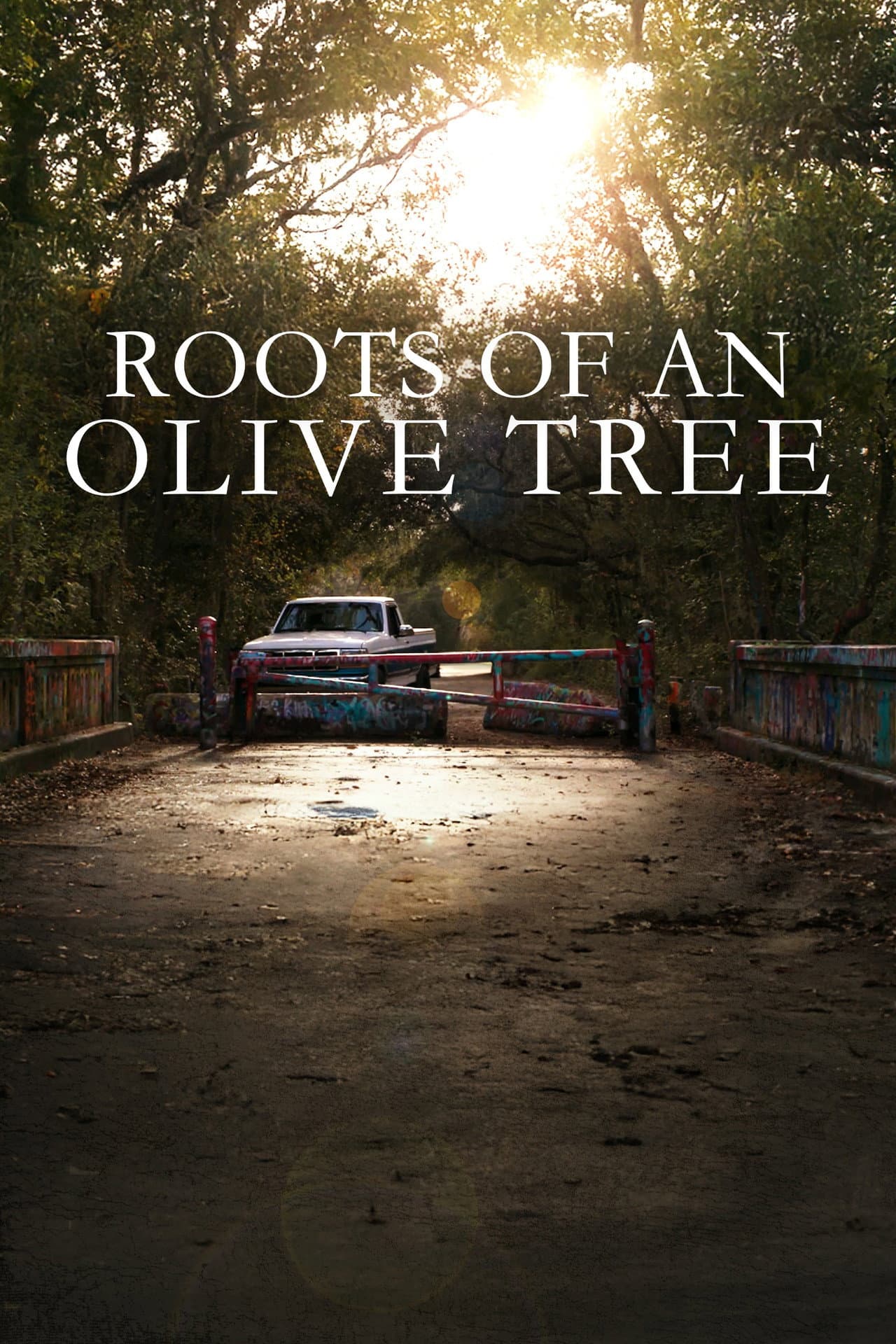 Roots of an Olive Tree preview 1