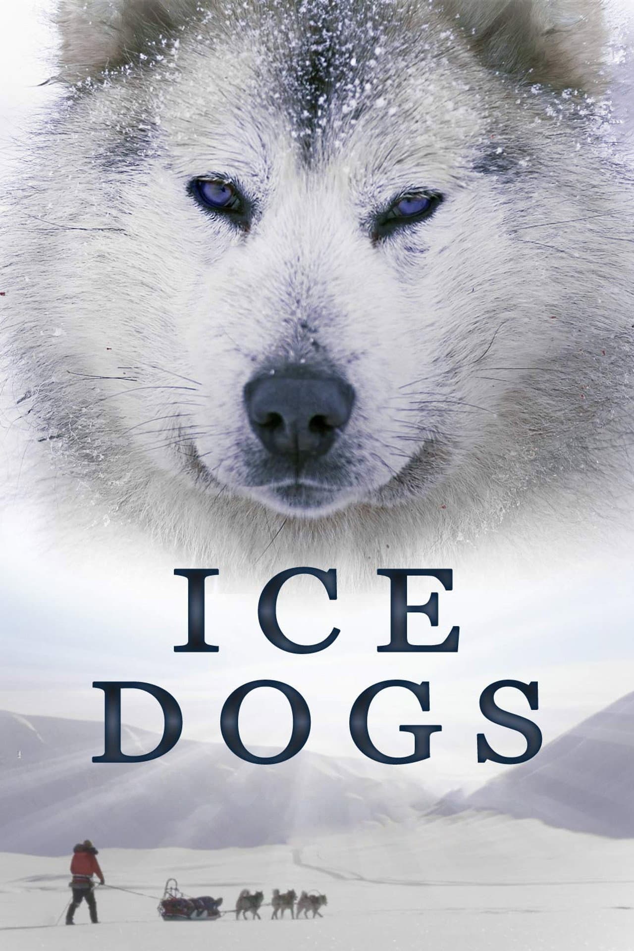Ice Dogs: The Only Companions Worth Having preview 2