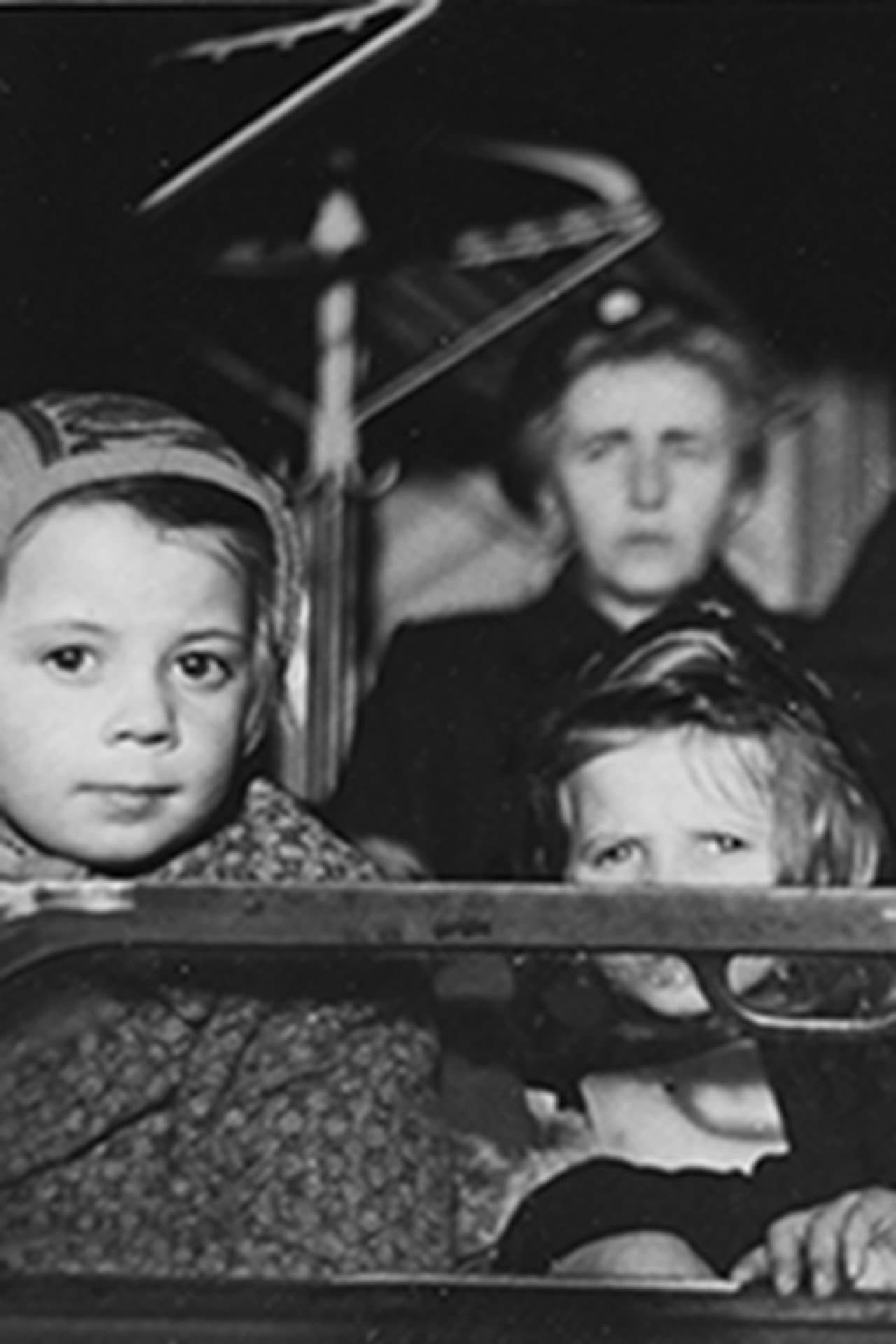 Report on the Refugee Situation preview 1