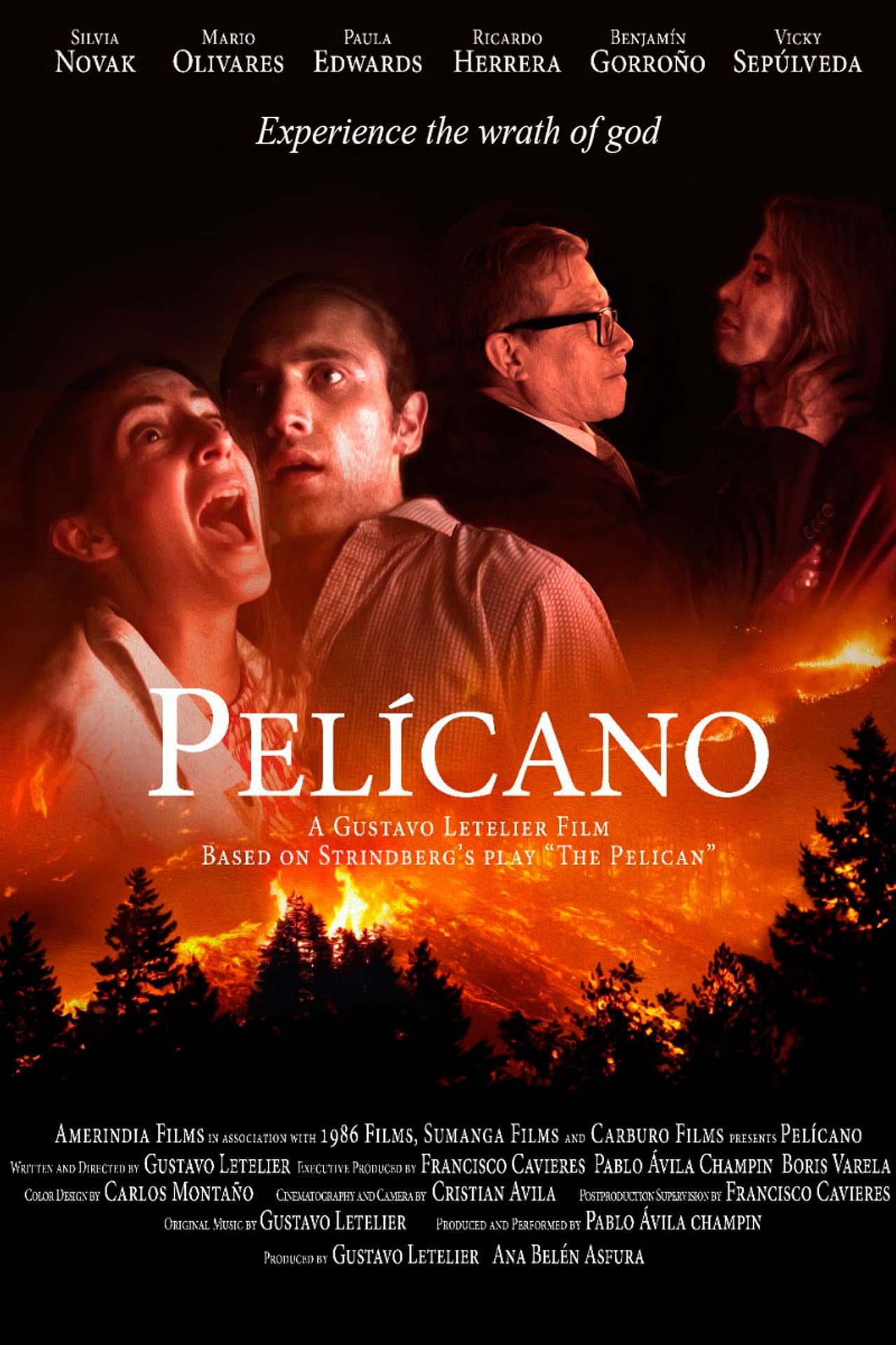 Pelícano preview 2