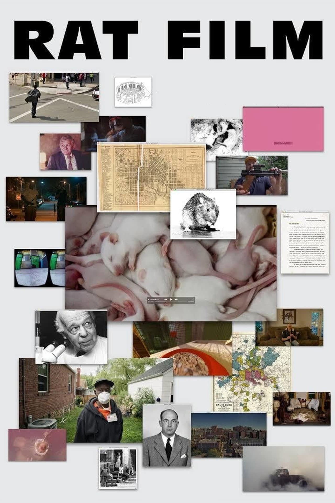 Rat Film preview 2