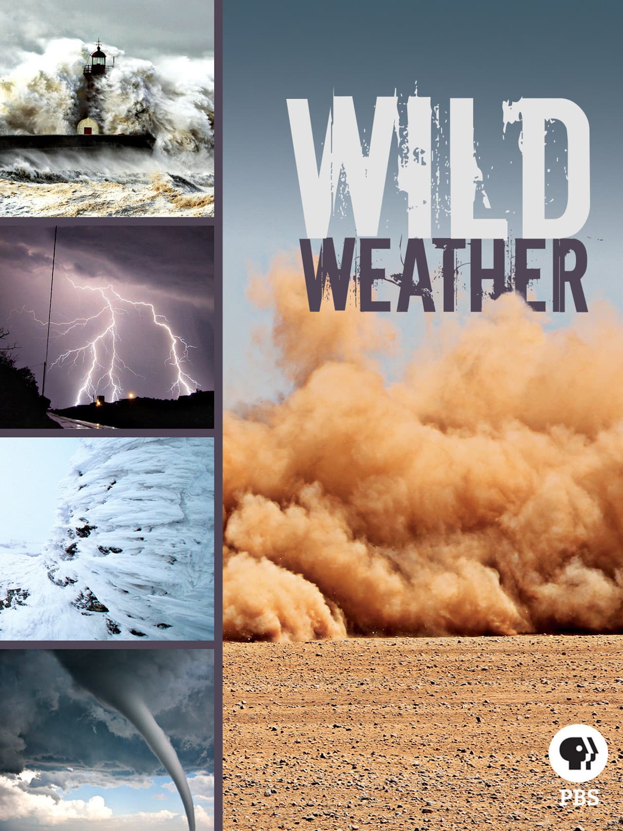 Wild Weather preview 1