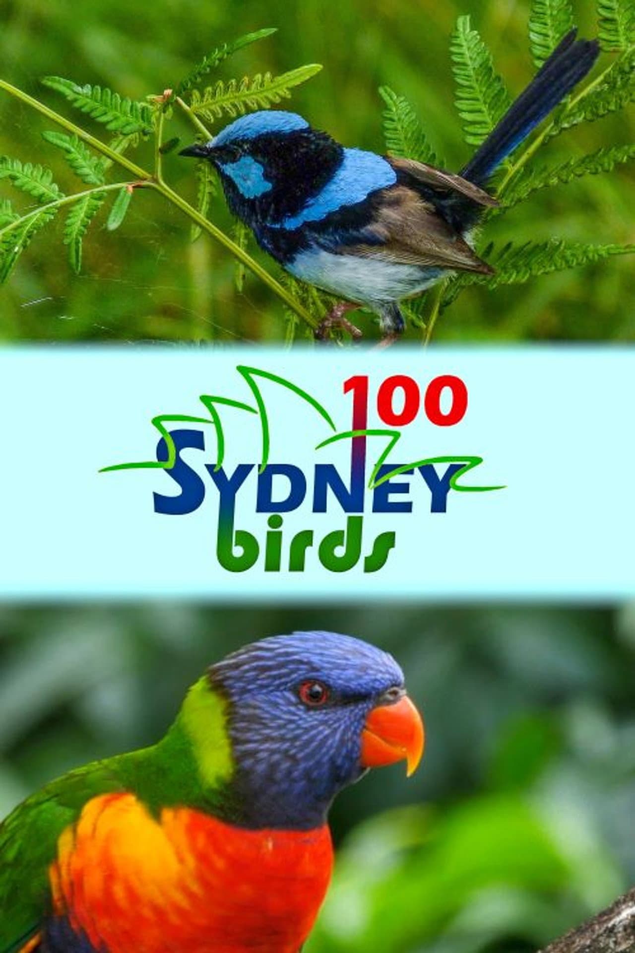 100 Sydney Birds preview 1