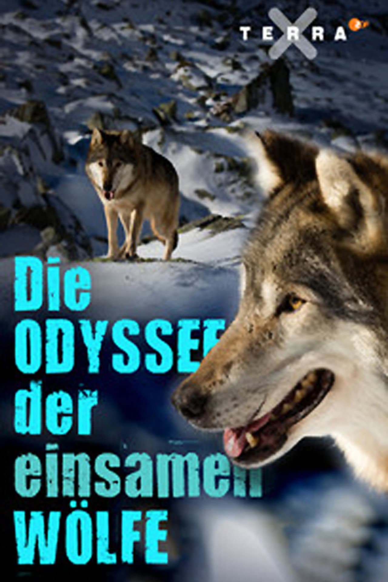 Die Odyssee der einsamen Wölfe preview 2