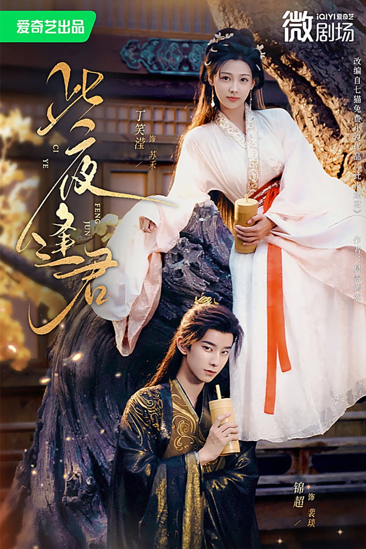此夜逢君 preview 2