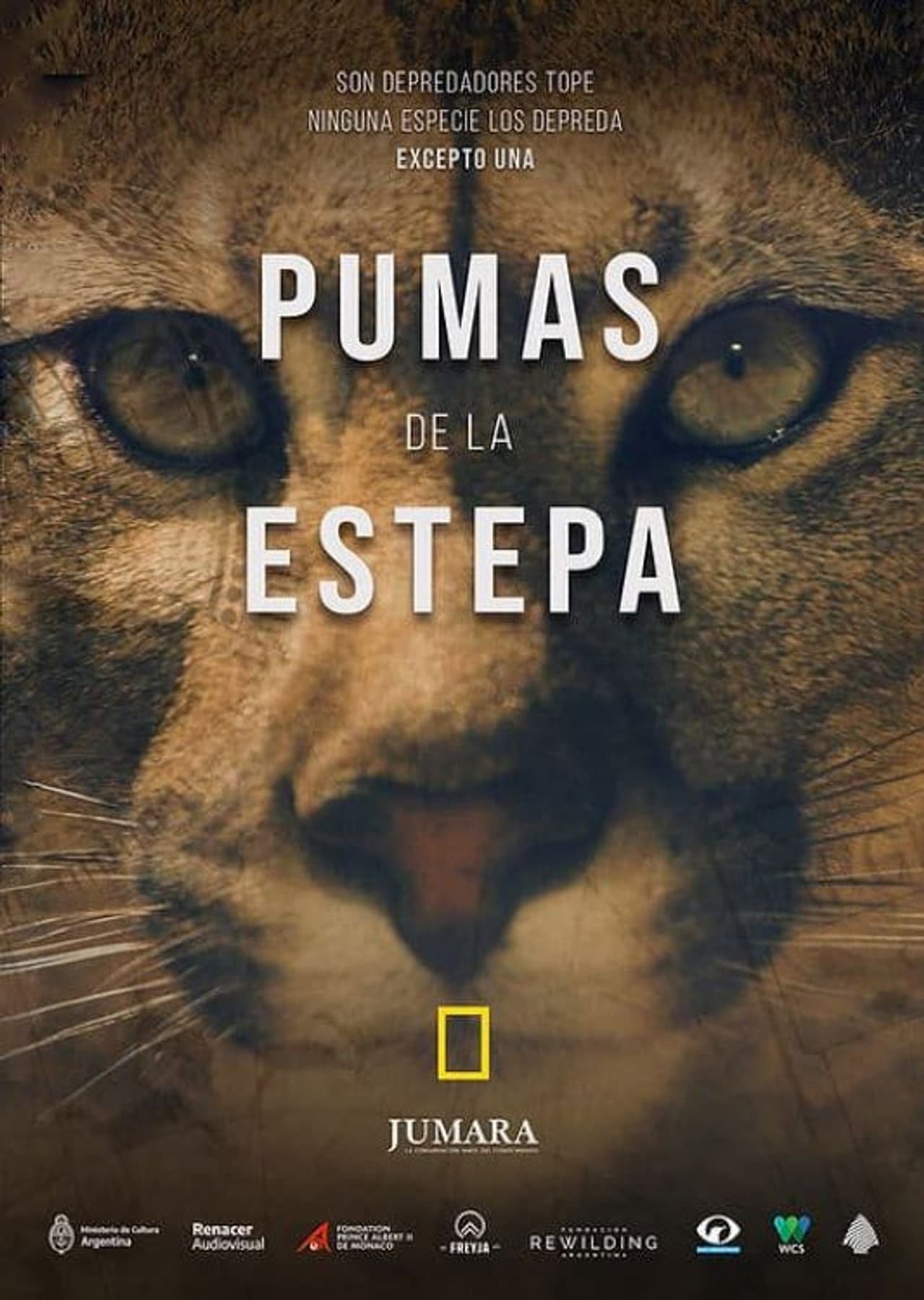 Pumas de la estepa preview 2