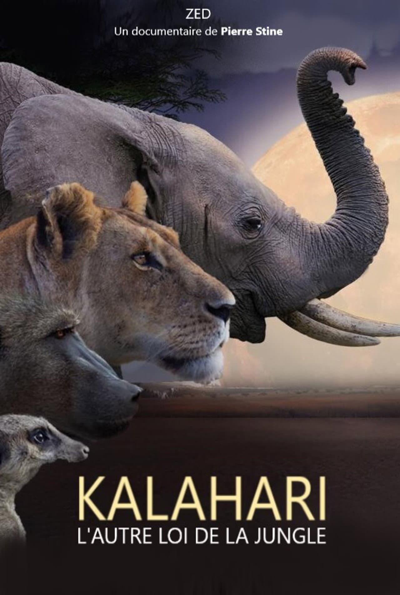 Kalahari, l'autre loi de la jungle preview 2