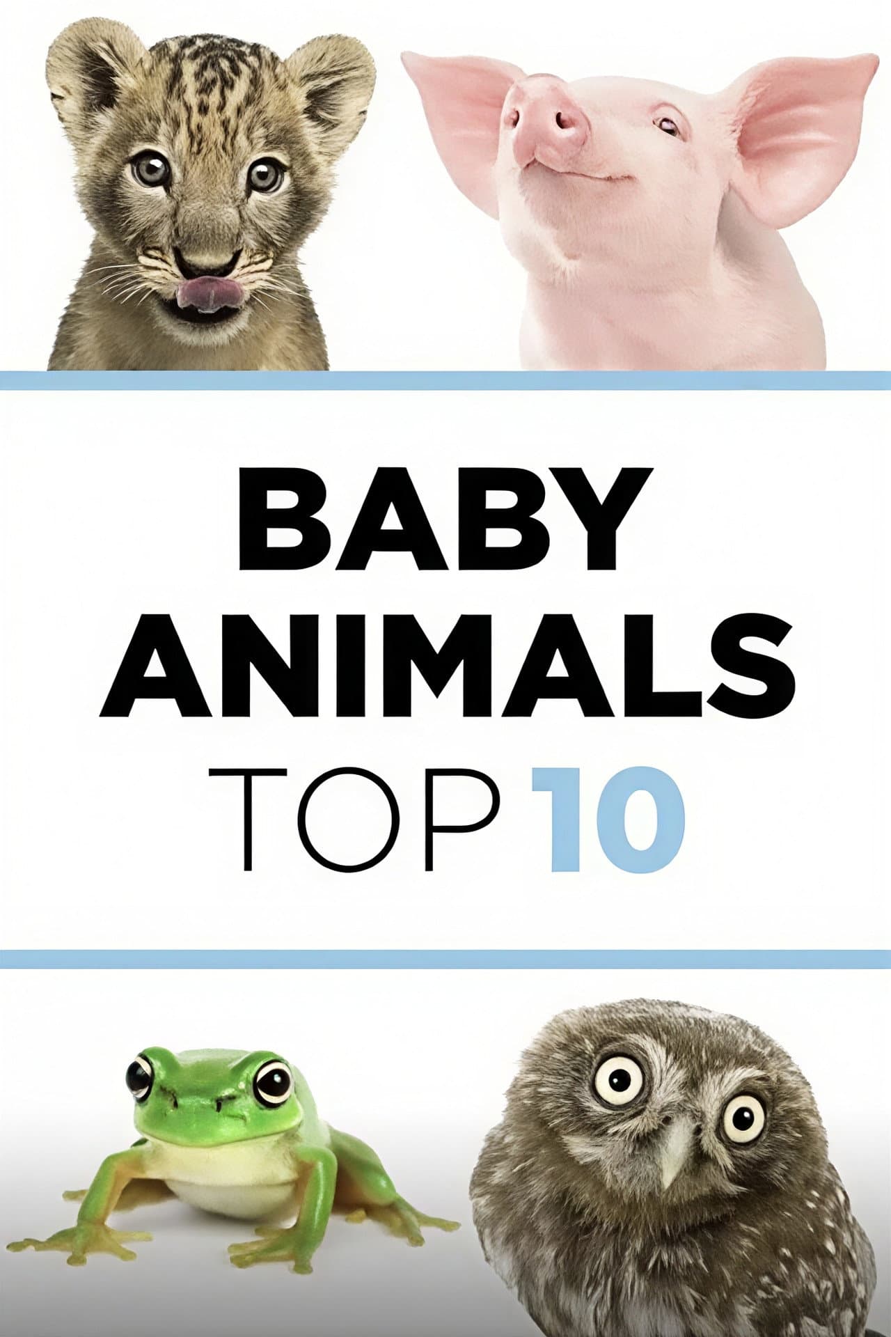Baby Animals: The Top 10 preview 2