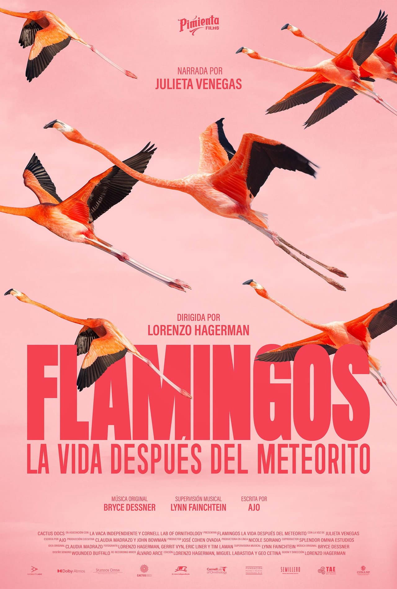 Flamingos: Life After the Meteorite preview 2