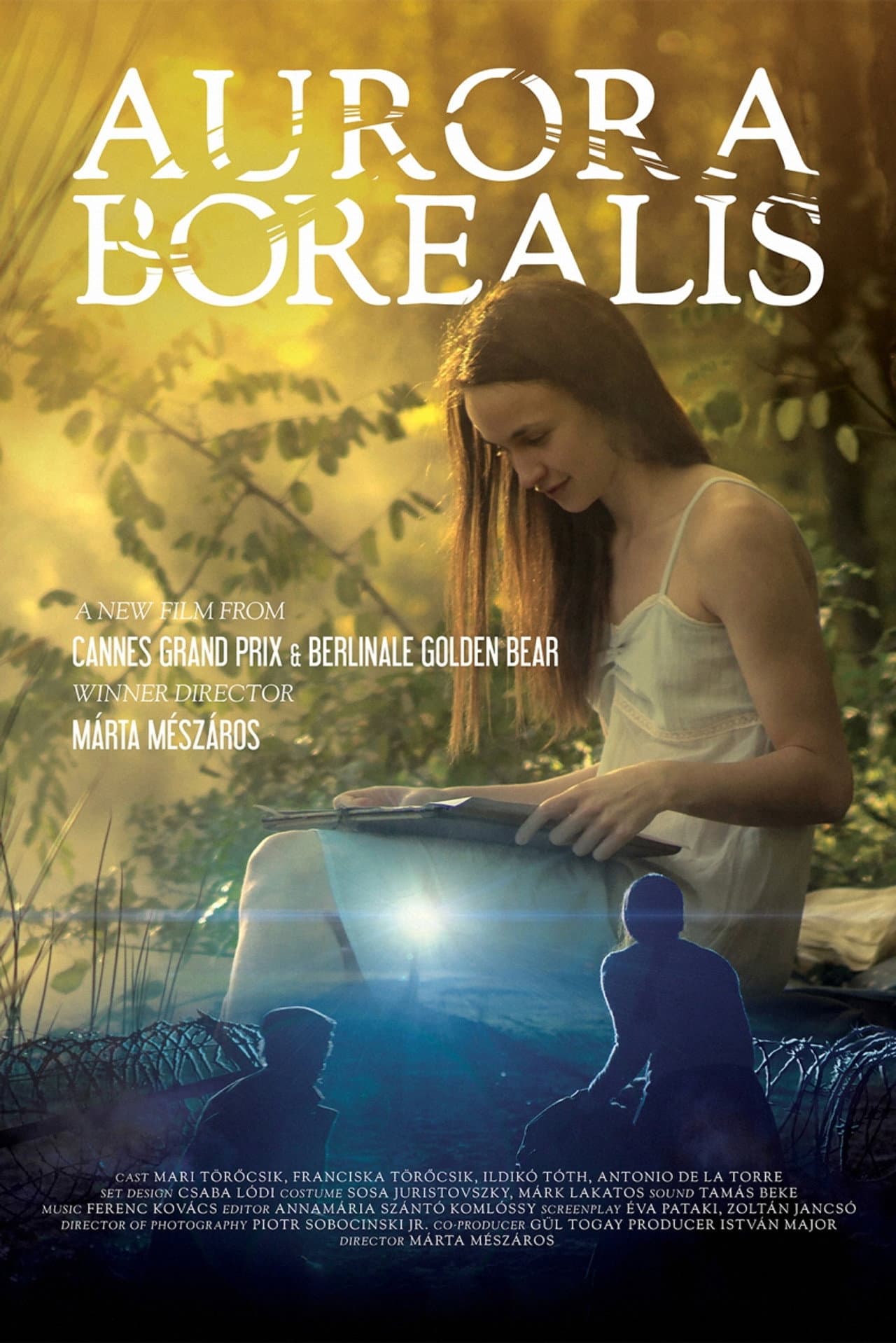Aurora Borealis: Northern Light preview 2