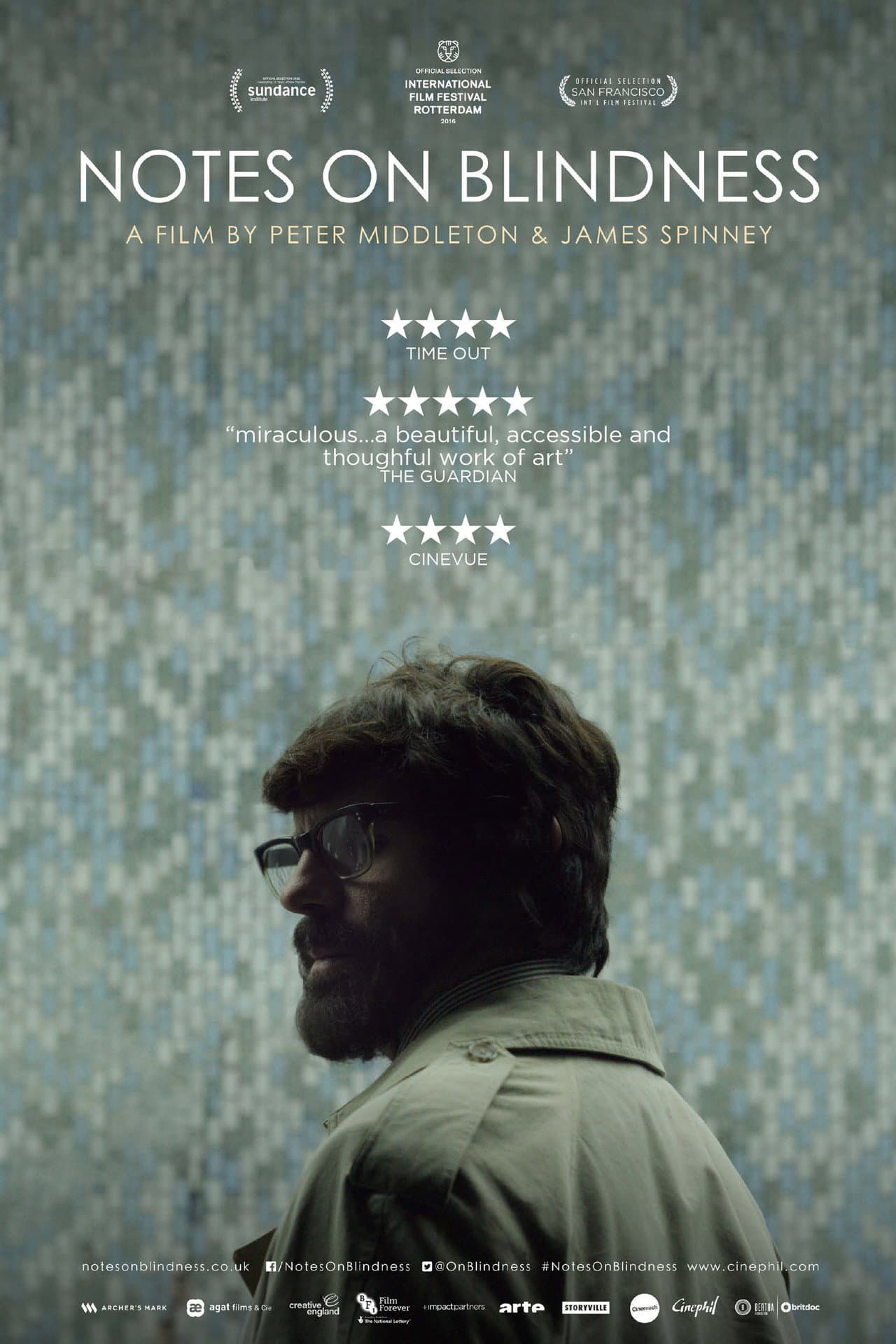 Notes on Blindness preview 2