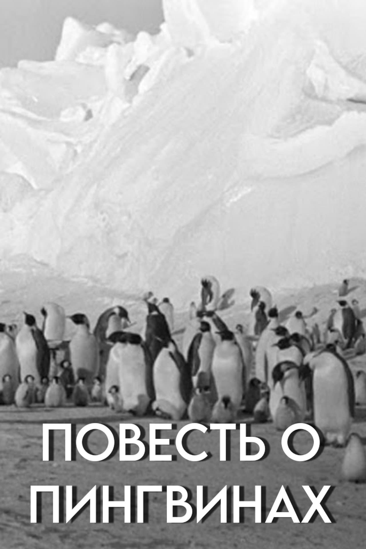 Tale of the Penguins preview 2